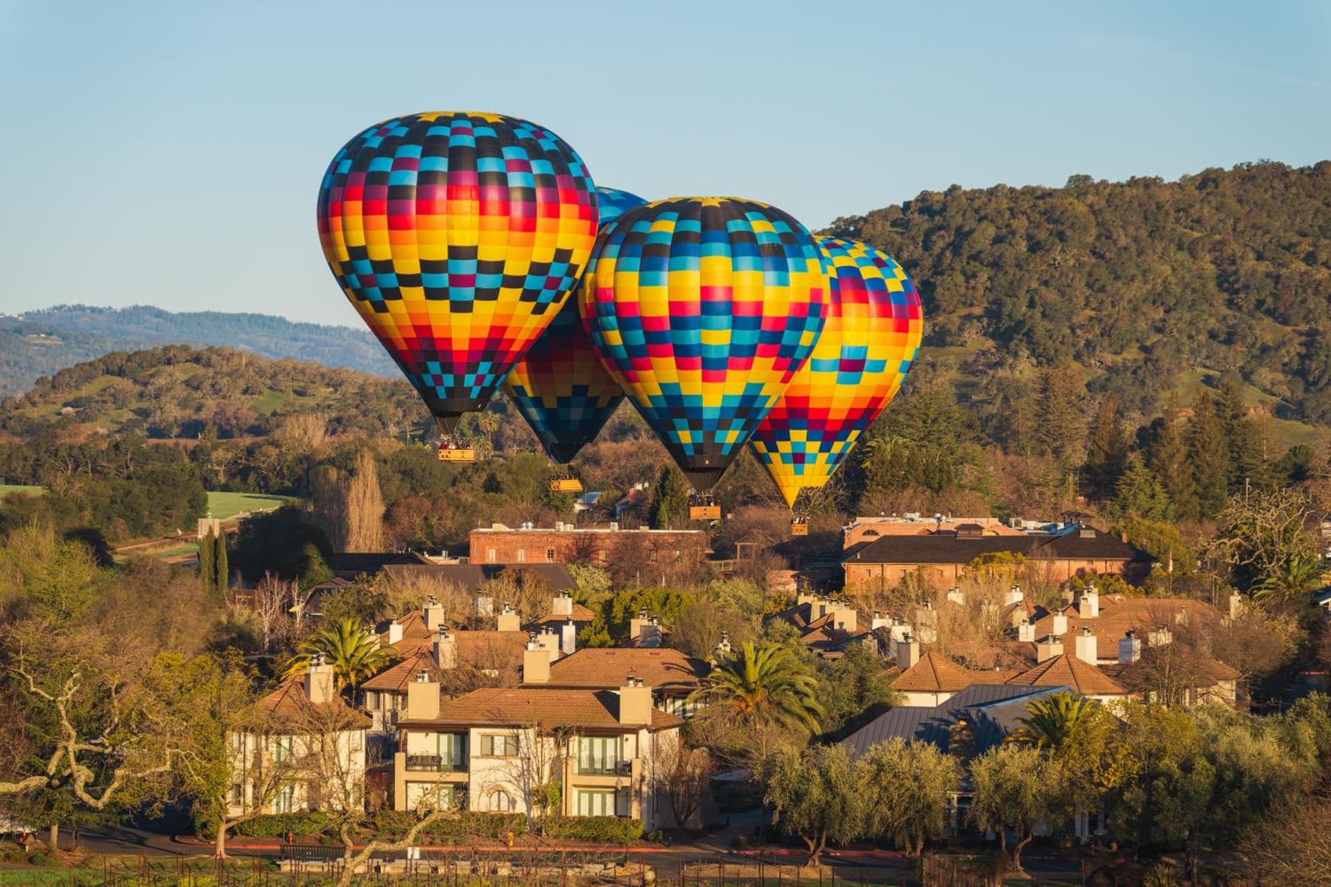 The Estate Yountville gallery photo in Yountville, CA — image 20