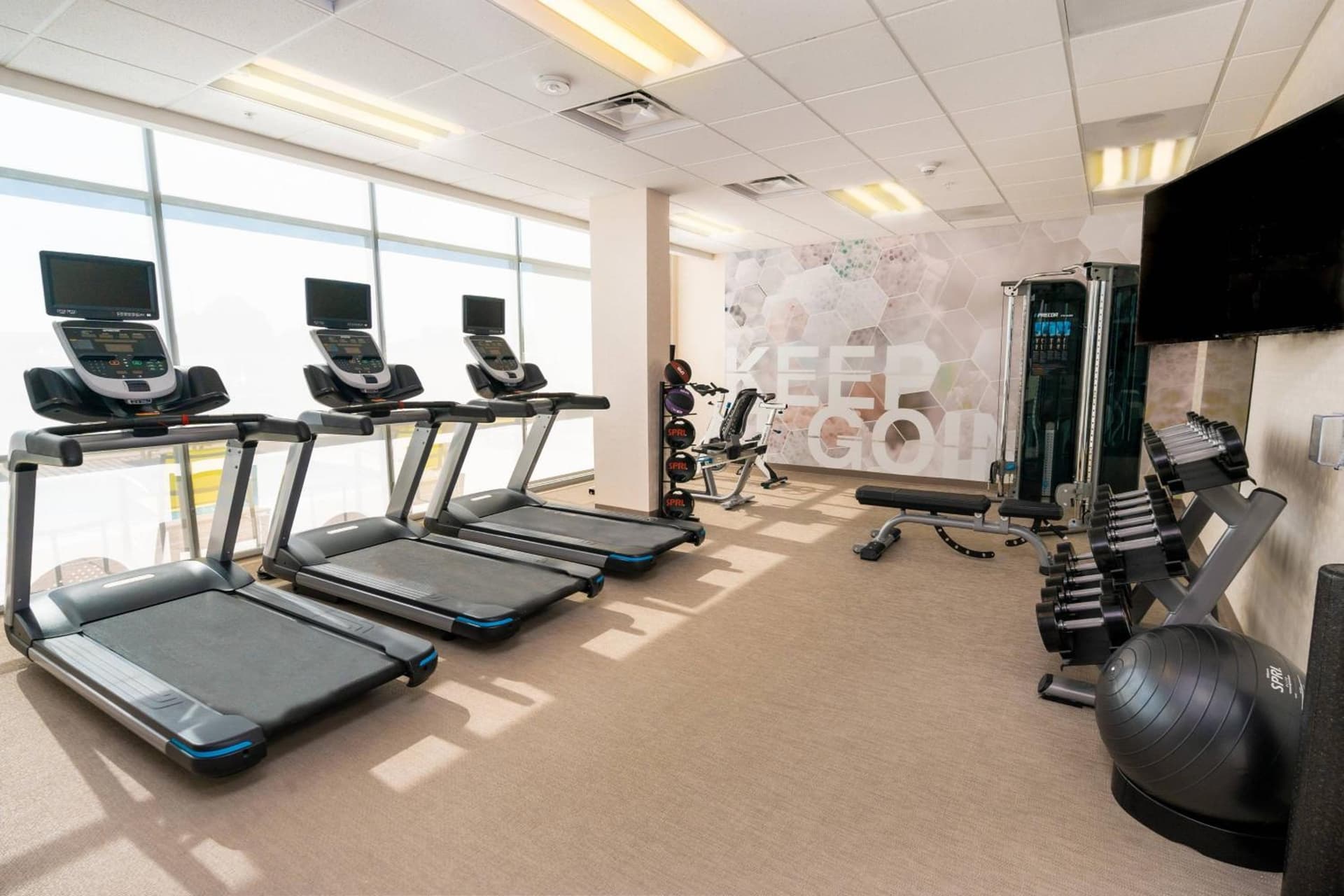 SpringHill Suites by Marriott Newark Fremont gallery photo in Newark, CA — image 19