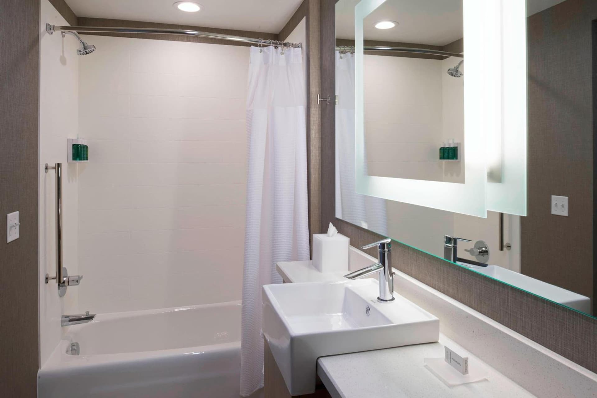 SpringHill Suites by Marriott East Lansing University Area, Lansing Area gallery photo in East Lansing, MI — image 28