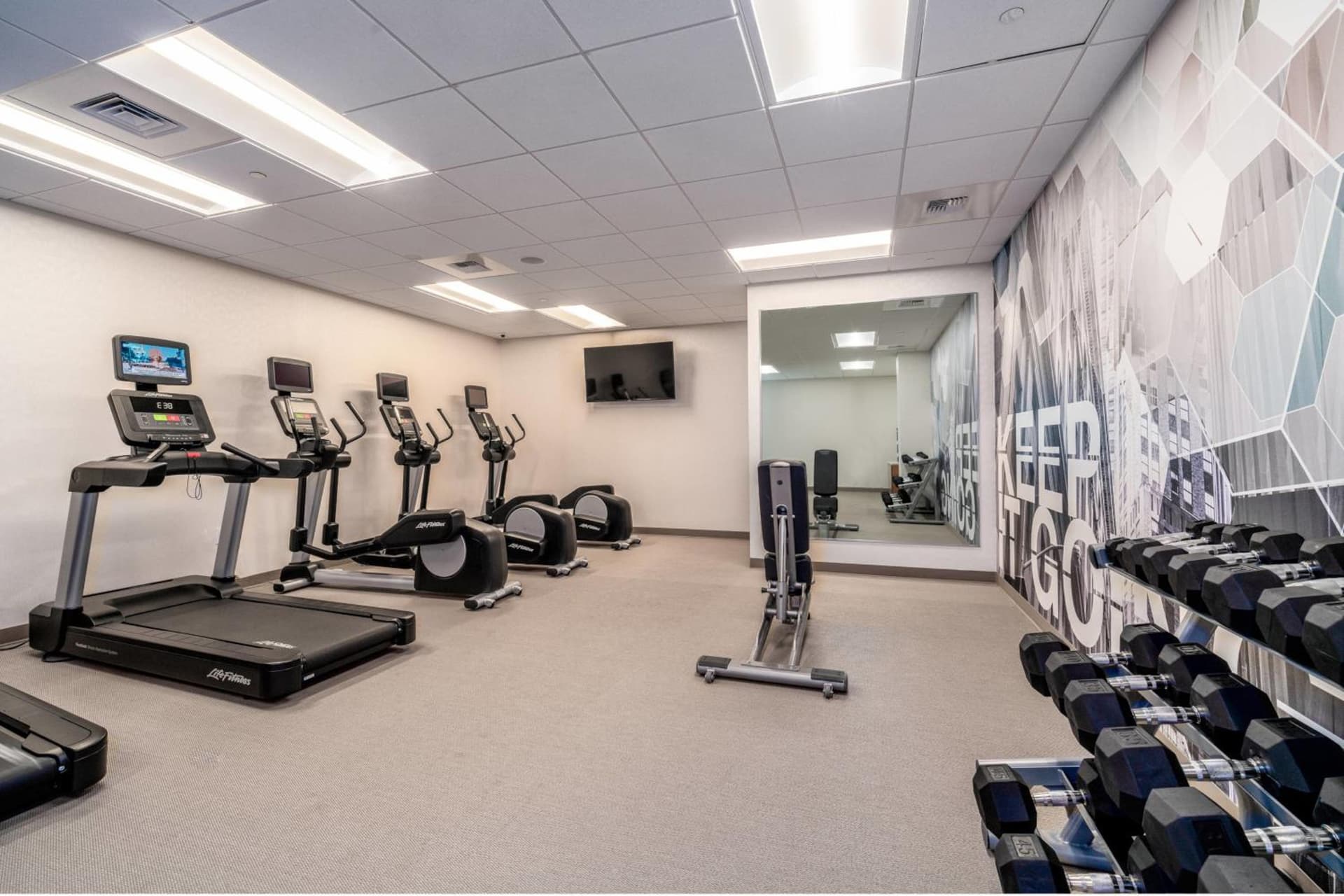 SpringHill Suites by Marriott Oakland Airport gallery photo in Oakland, CA — image 14
