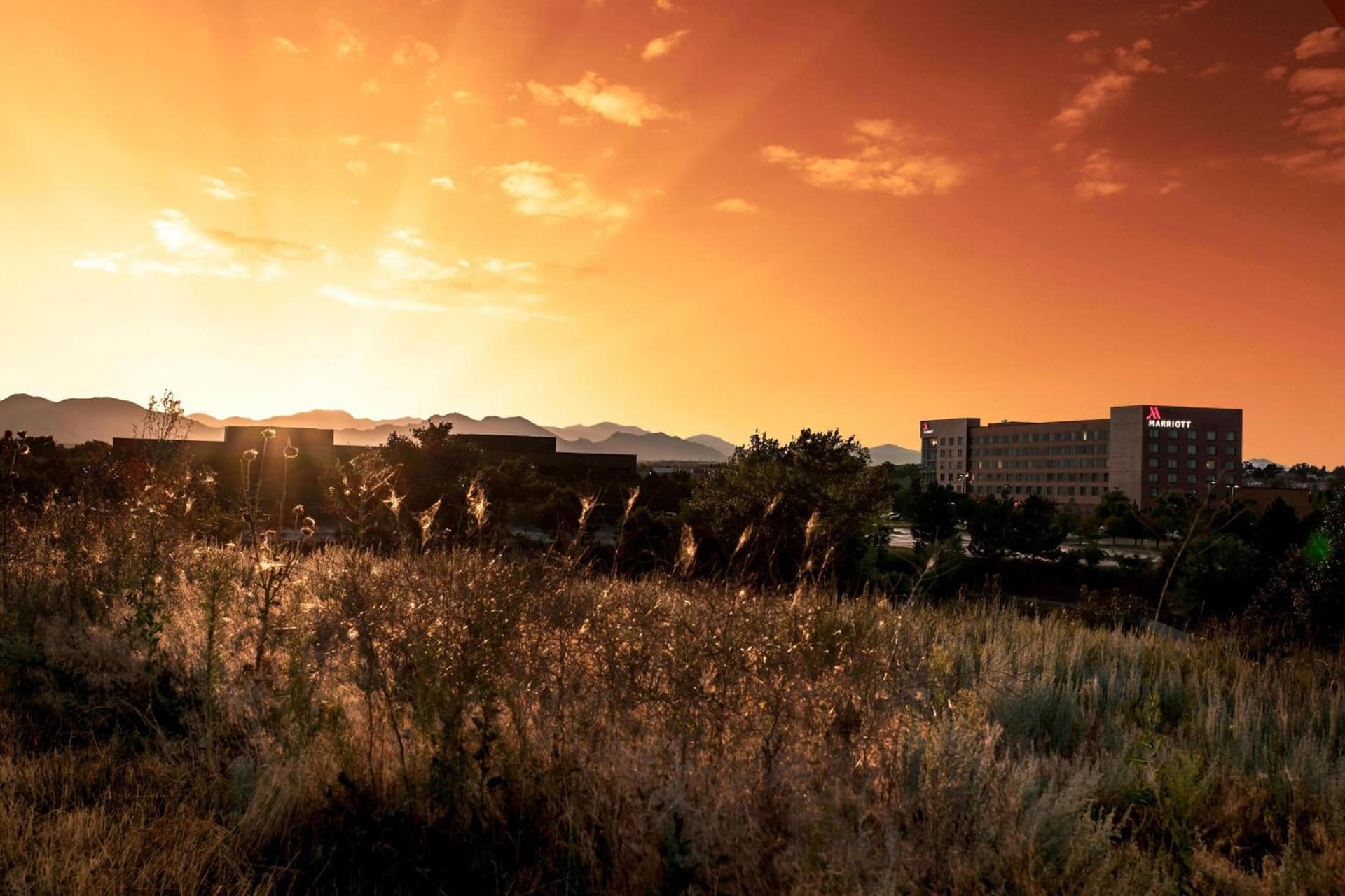 Denver Marriott Westminster interior in Westminster, CO — gallery photo 2