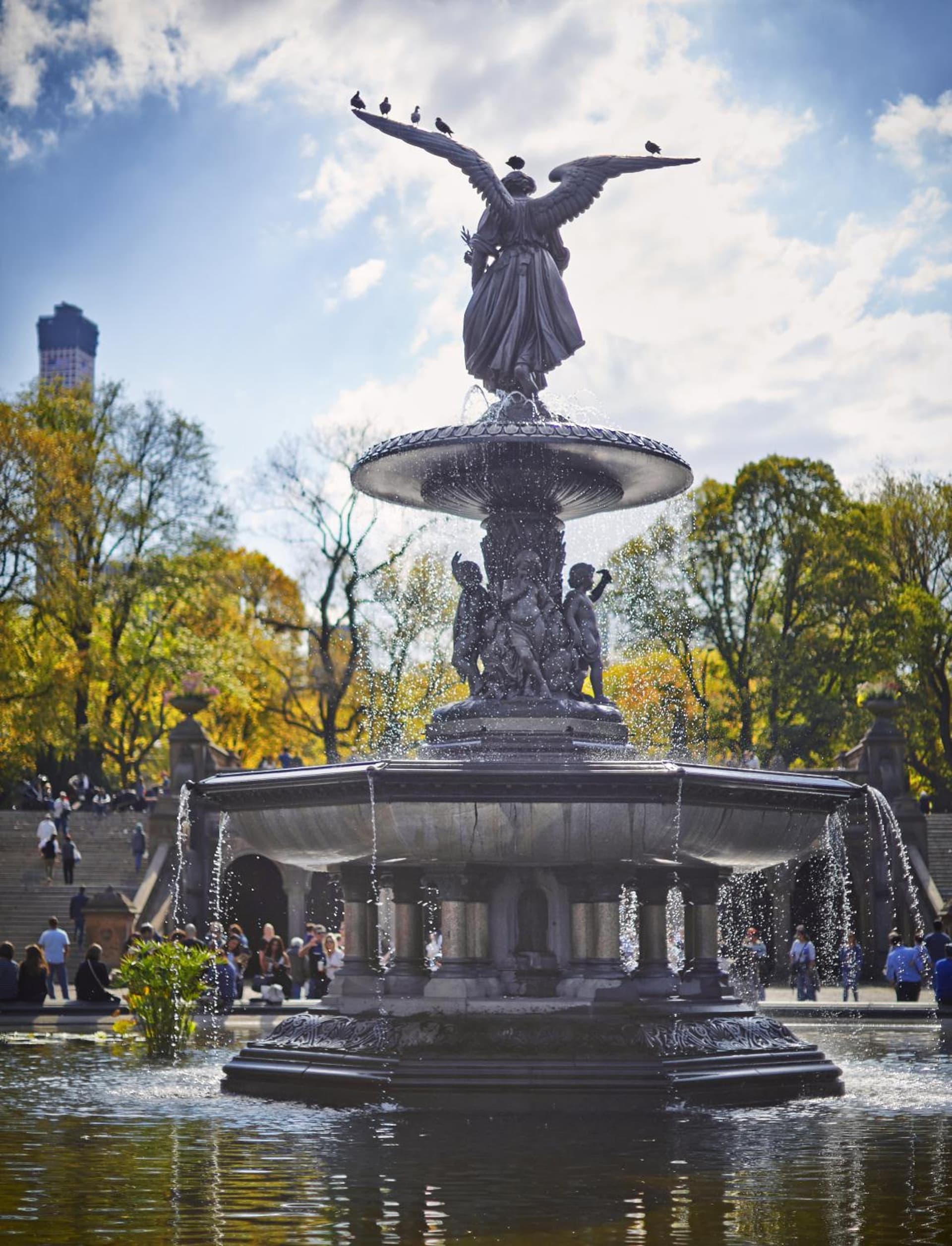 The Gardens Sonesta ES Suites New York gallery photo in New York, NY — image 26