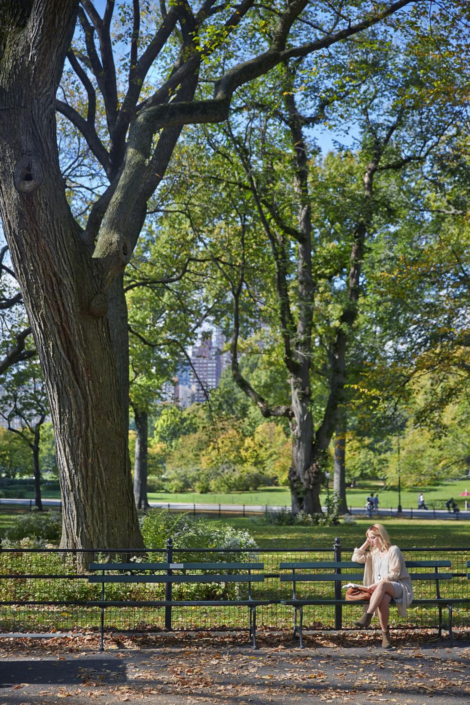 The Gardens Sonesta ES Suites New York gallery photo in New York, NY — image 7