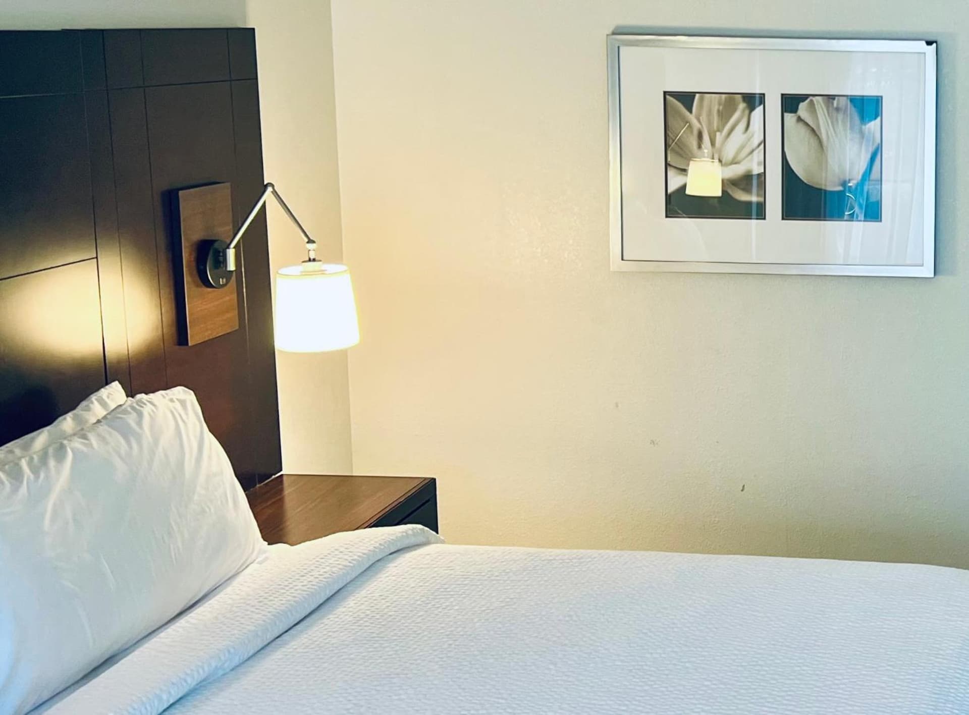 Holiday Inn Virginia Beach - Norfolk by IHG interior in Virginia Beach, VA — gallery photo 2
