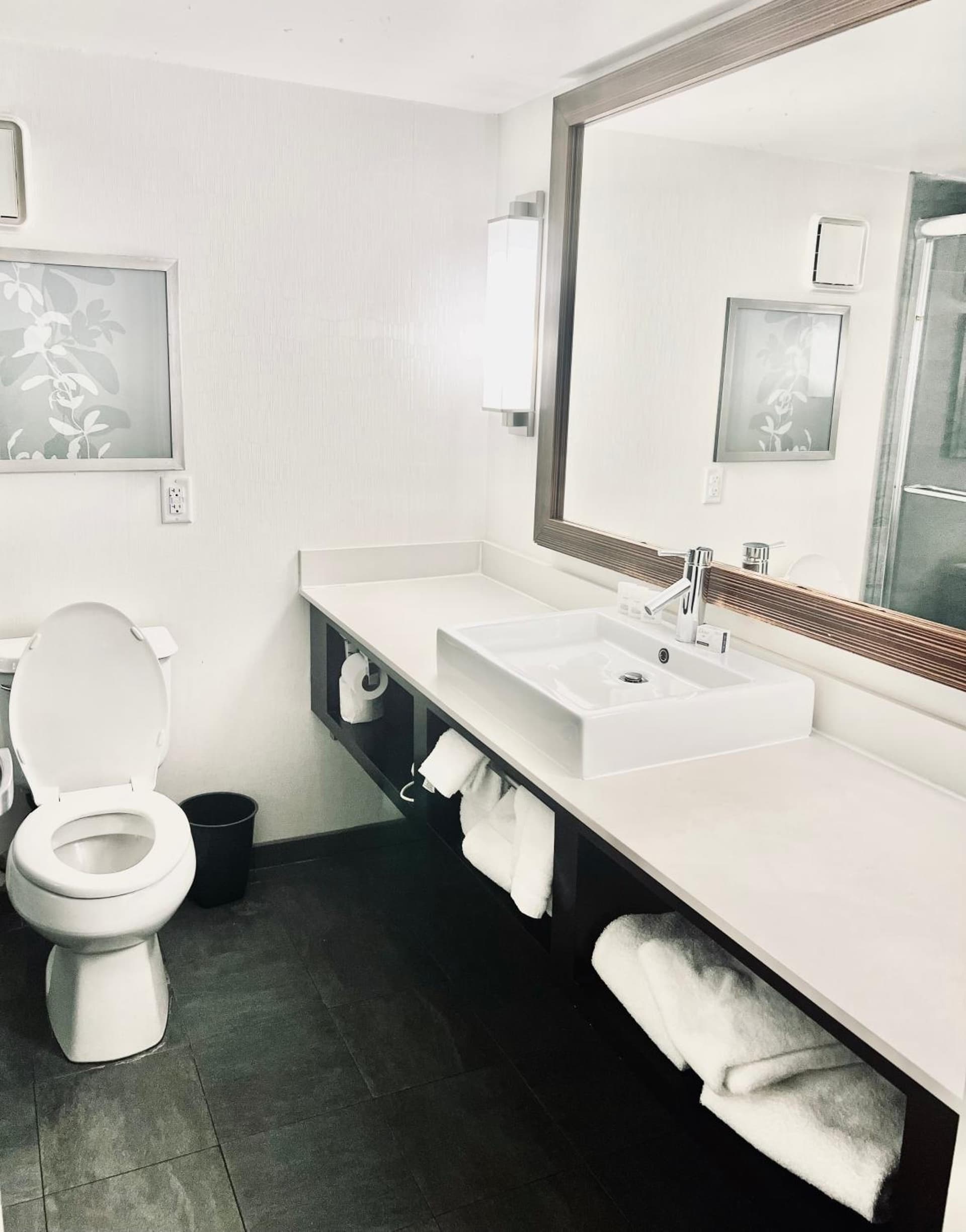 Holiday Inn Virginia Beach - Norfolk by IHG gallery photo in Virginia Beach, VA — image 37