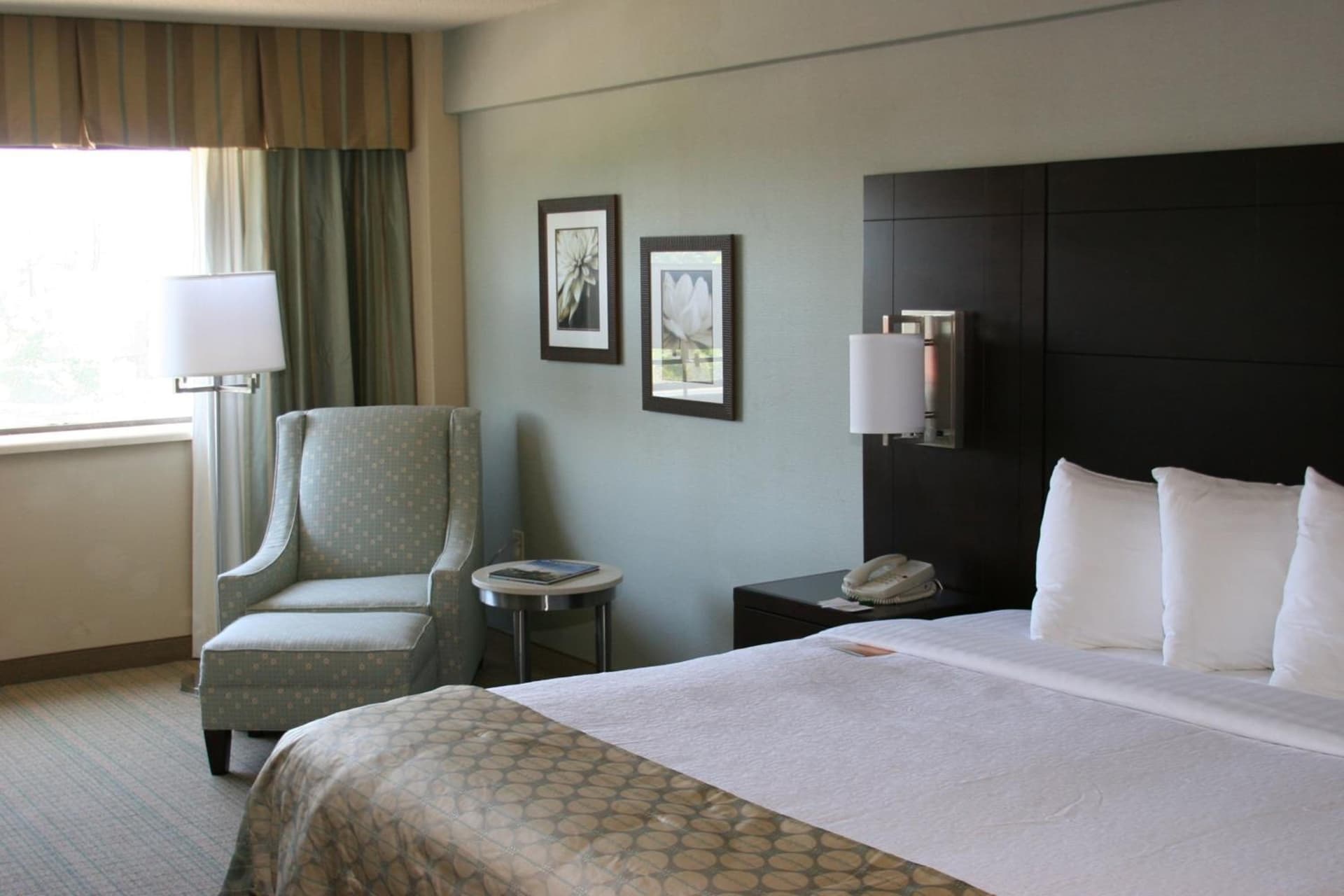 Holiday Inn Virginia Beach - Norfolk by IHG gallery photo in Virginia Beach, VA — image 20