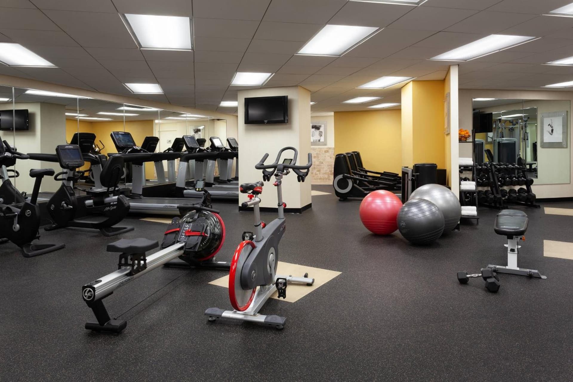 Tampa Airport Marriott gallery photo in Tampa, FL — image 43