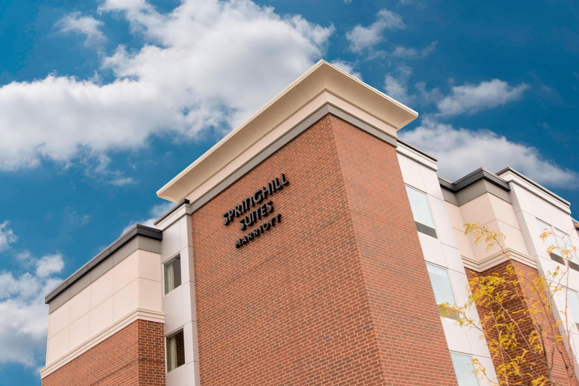 SpringHill Suites by Marriott Chicago Southeast/Munster, IN gallery photo in Munster, IN — image 10