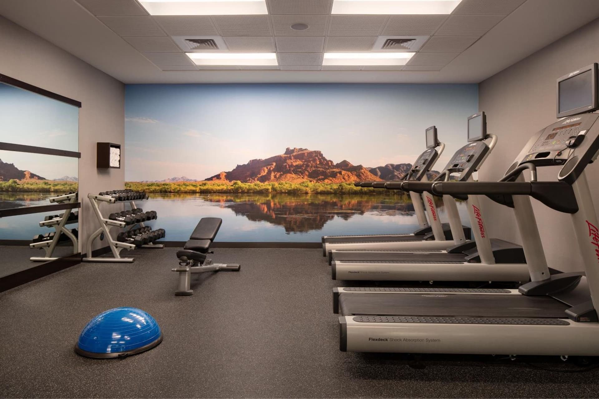 Courtyard by Marriott Scottsdale Salt River gallery photo in Scottsdale, AZ — image 49