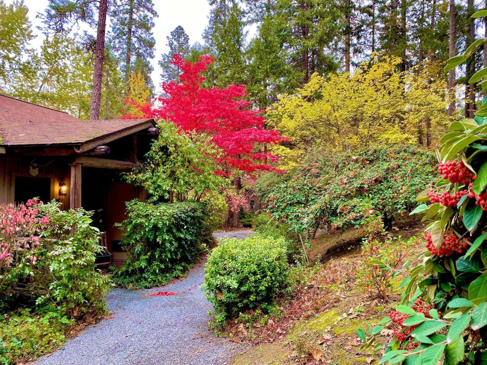 Weasku Inn gallery photo in Grants Pass, OR — image 55