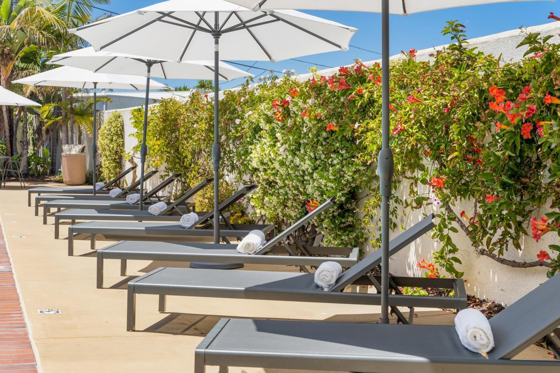 Casablanca Inn gallery photo in San Clemente, CA — image 67
