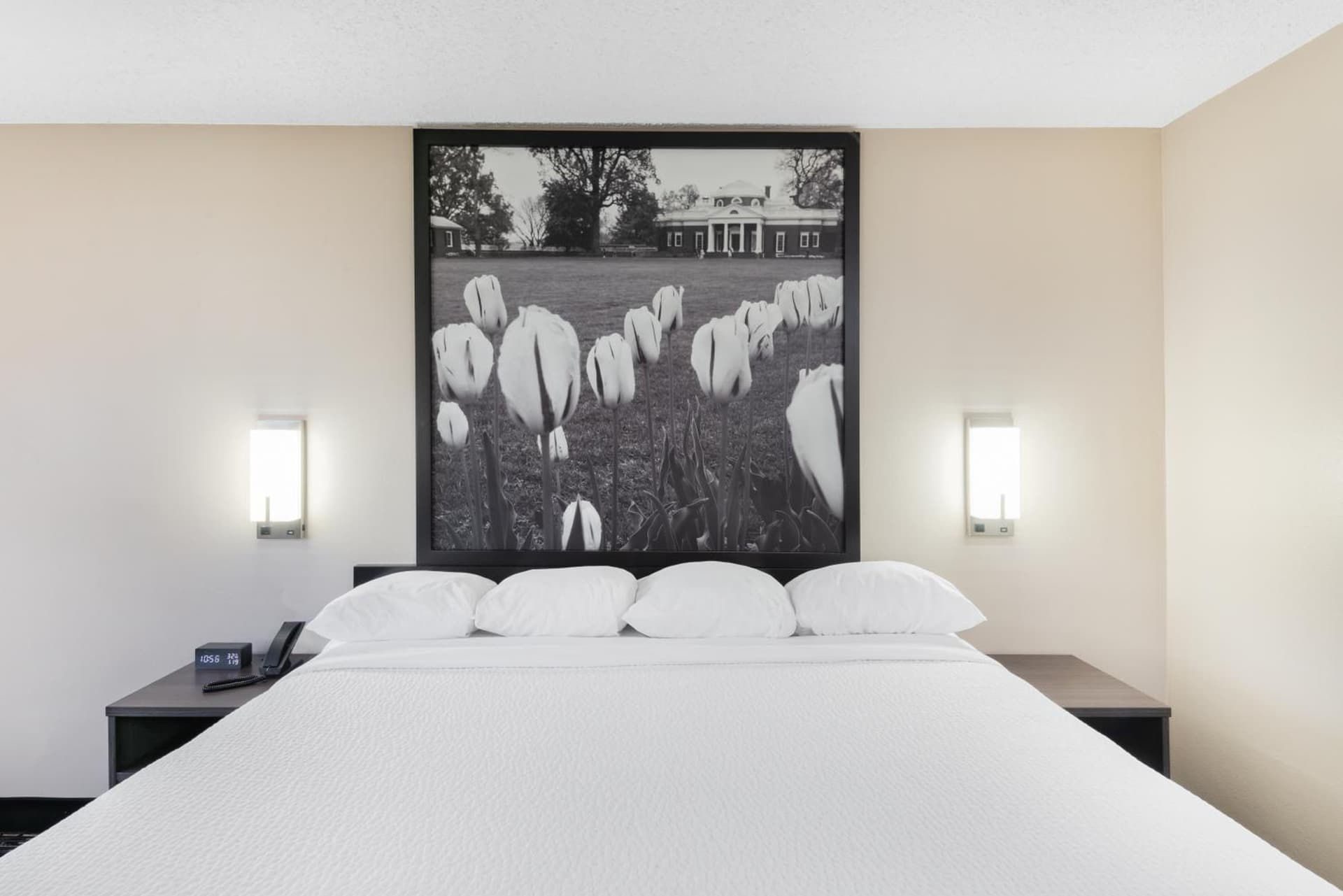 Super 8 by Wyndham Charlottesville gallery photo in Charlottesville, VA — image 5