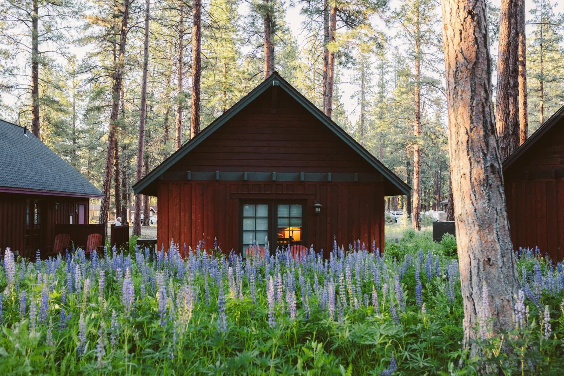 FivePine Lodge property views in Sisters, OR — gallery photo 3