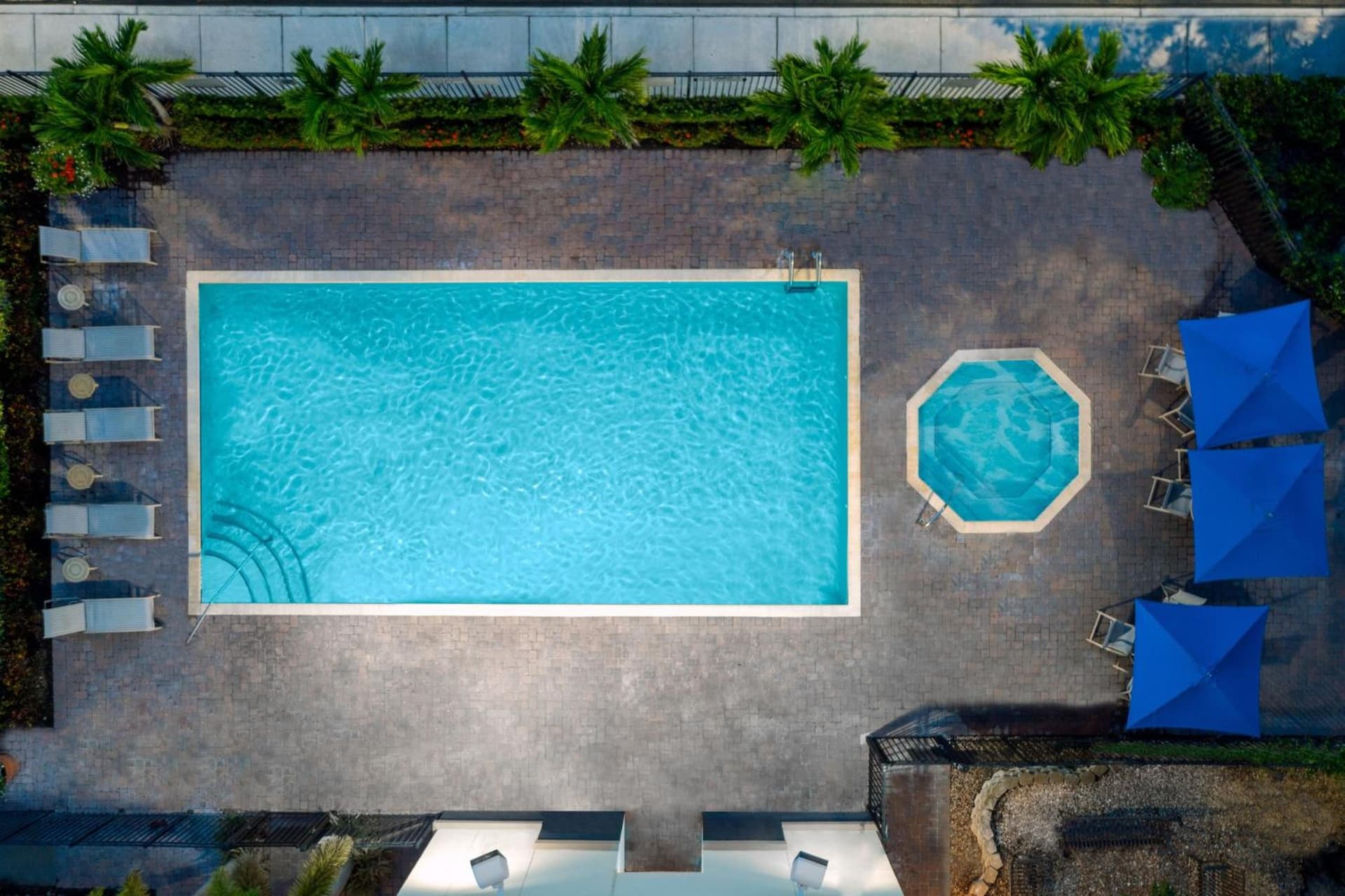 Fairfield Inn and Suites by Marriott Clearwater gallery photo in Clearwater, FL — image 37