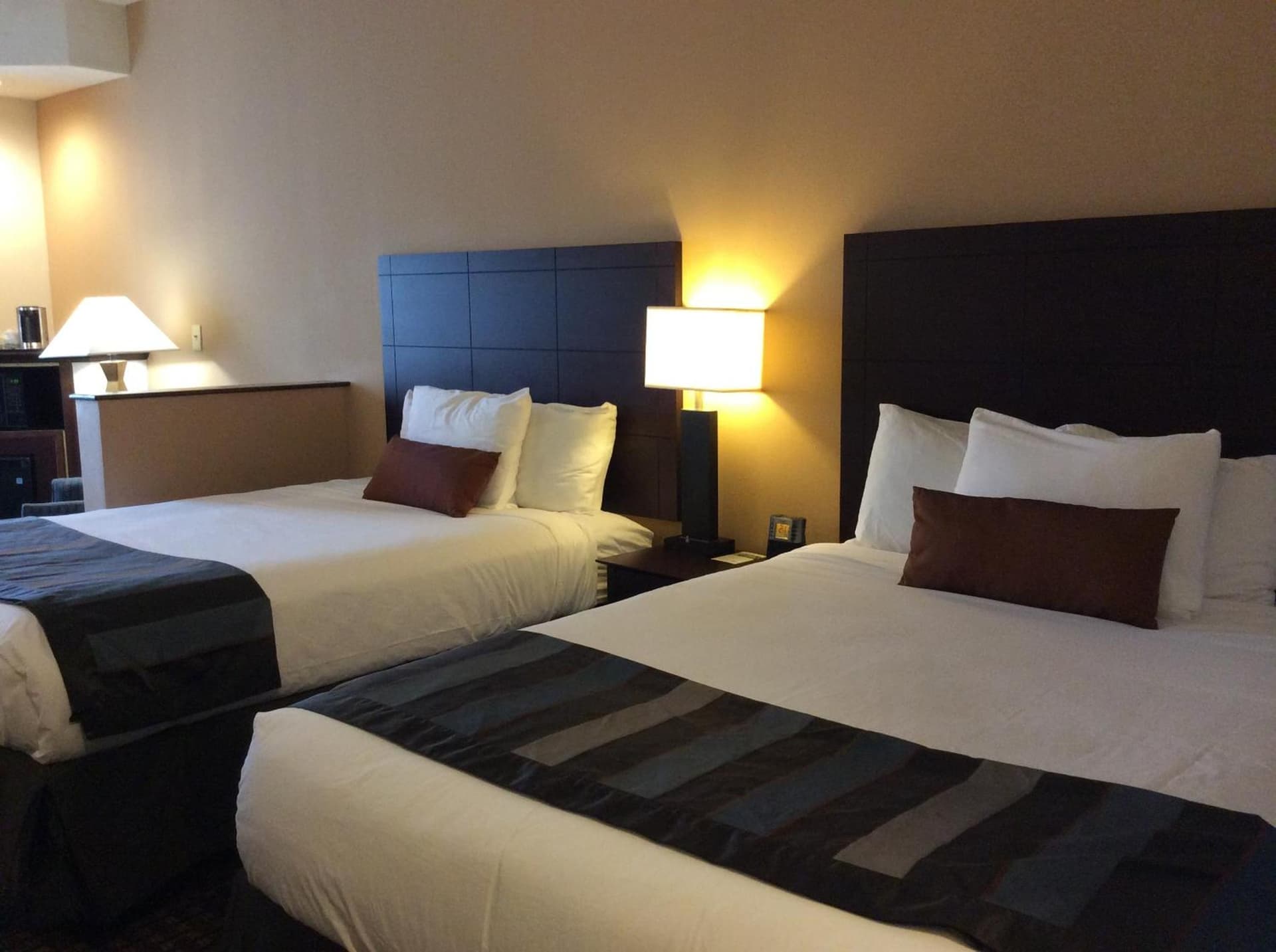 Wingate by Wyndham High Point Greensboro Airport South gallery photo in High Point, NC — image 5
