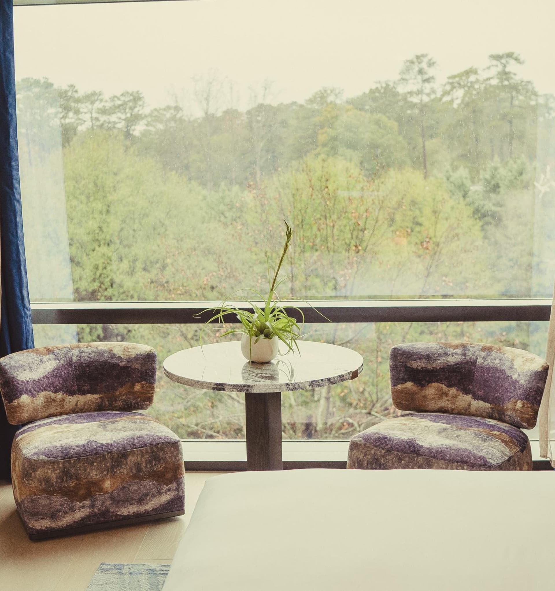 Nobu Hotel Atlanta gallery photo in Atlanta, GA — image 37