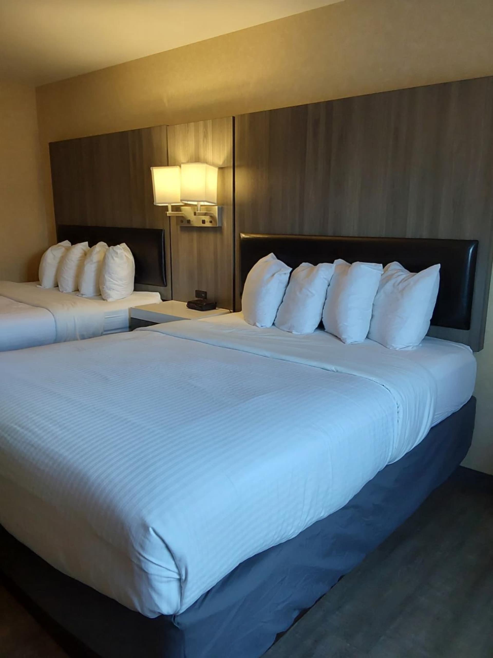 Lavissh Inn and Suites gallery photo in Bellingham, WA — image 18