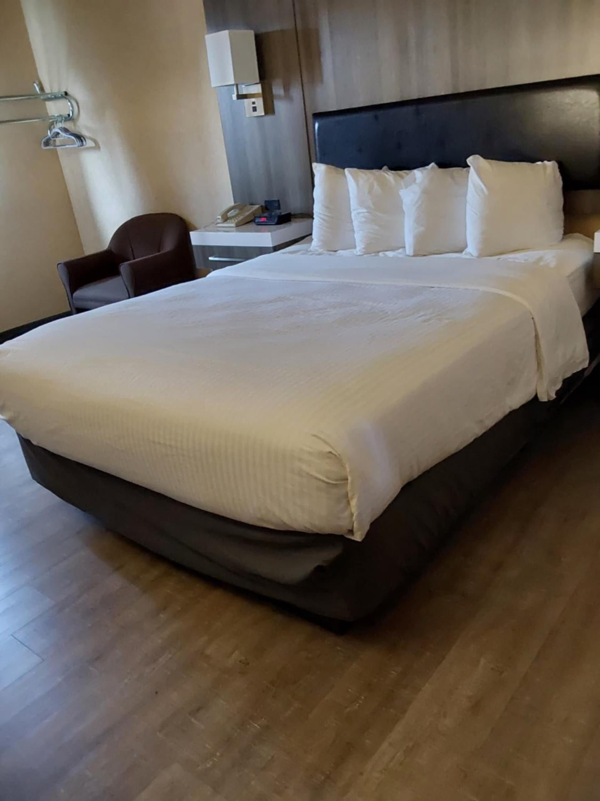 Lavissh Inn and Suites gallery photo in Bellingham, WA — image 22