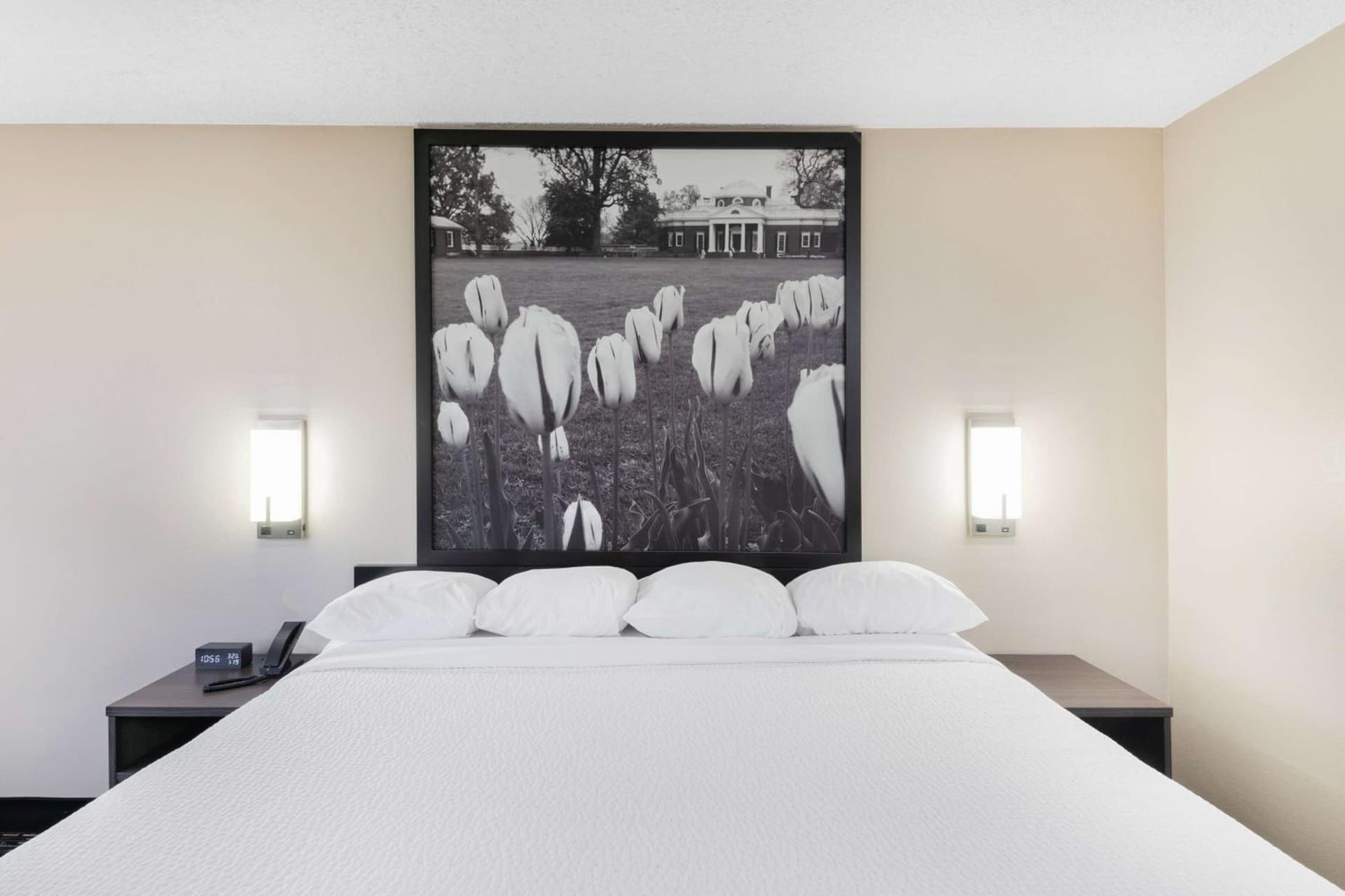 Super 8 by Wyndham Charlottesville gallery photo in Charlottesville, VA — image 12