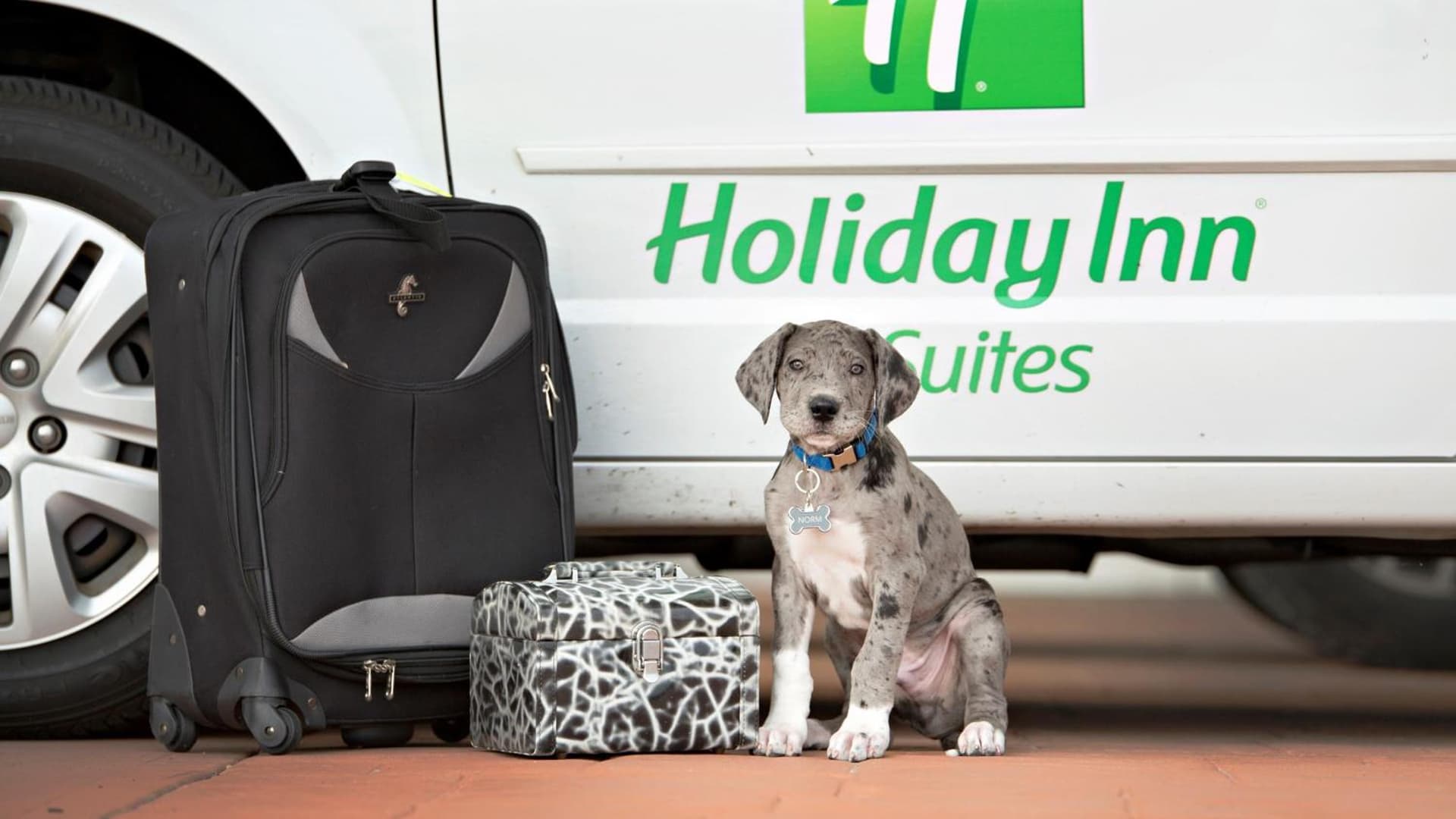 Holiday Inn Hotel & Suites Bloomington Airport by IHG gallery photo in Bloomington, IL — image 39