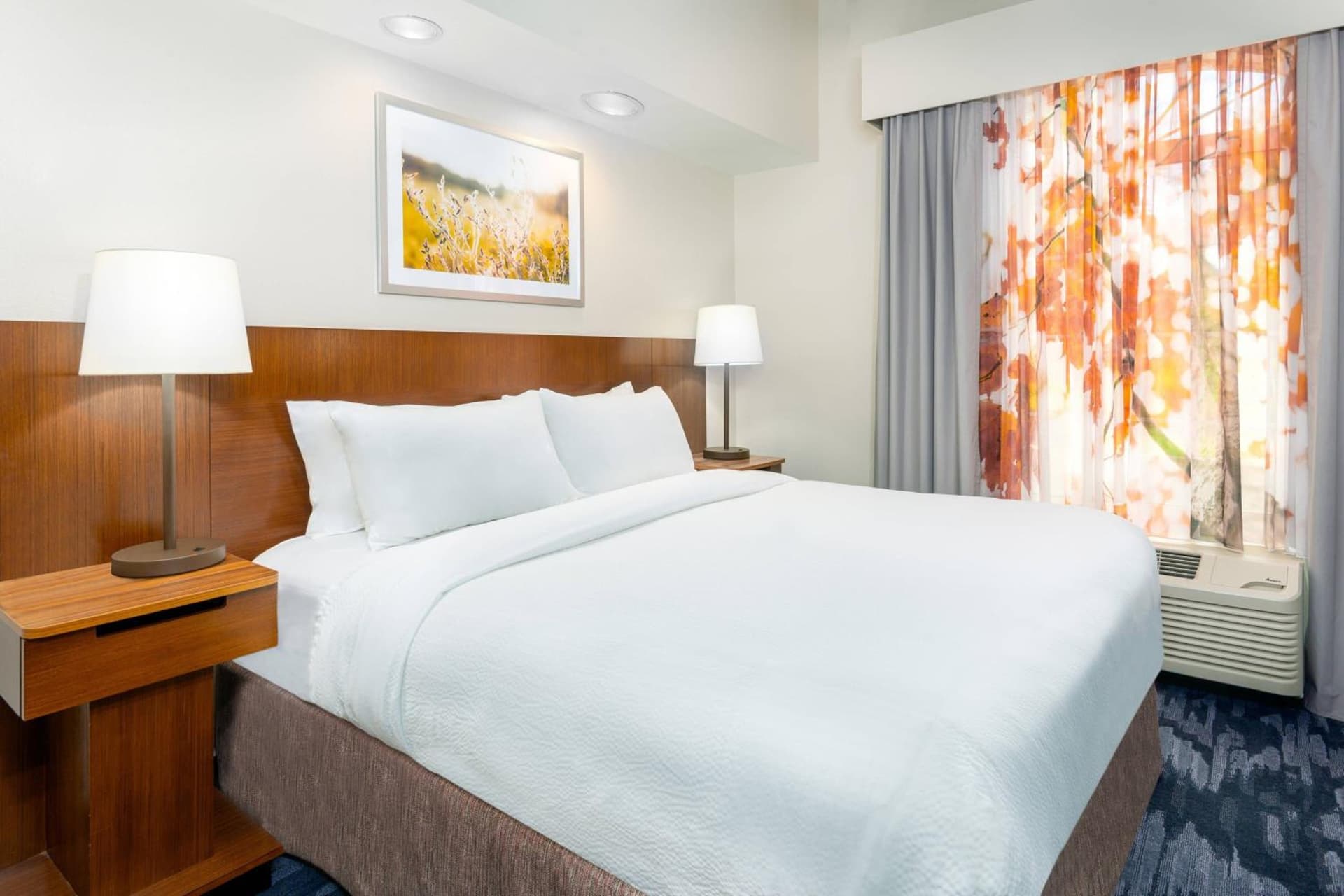 Fairfield Inn and Suites by Marriott Clearwater gallery photo in Clearwater, FL — image 20