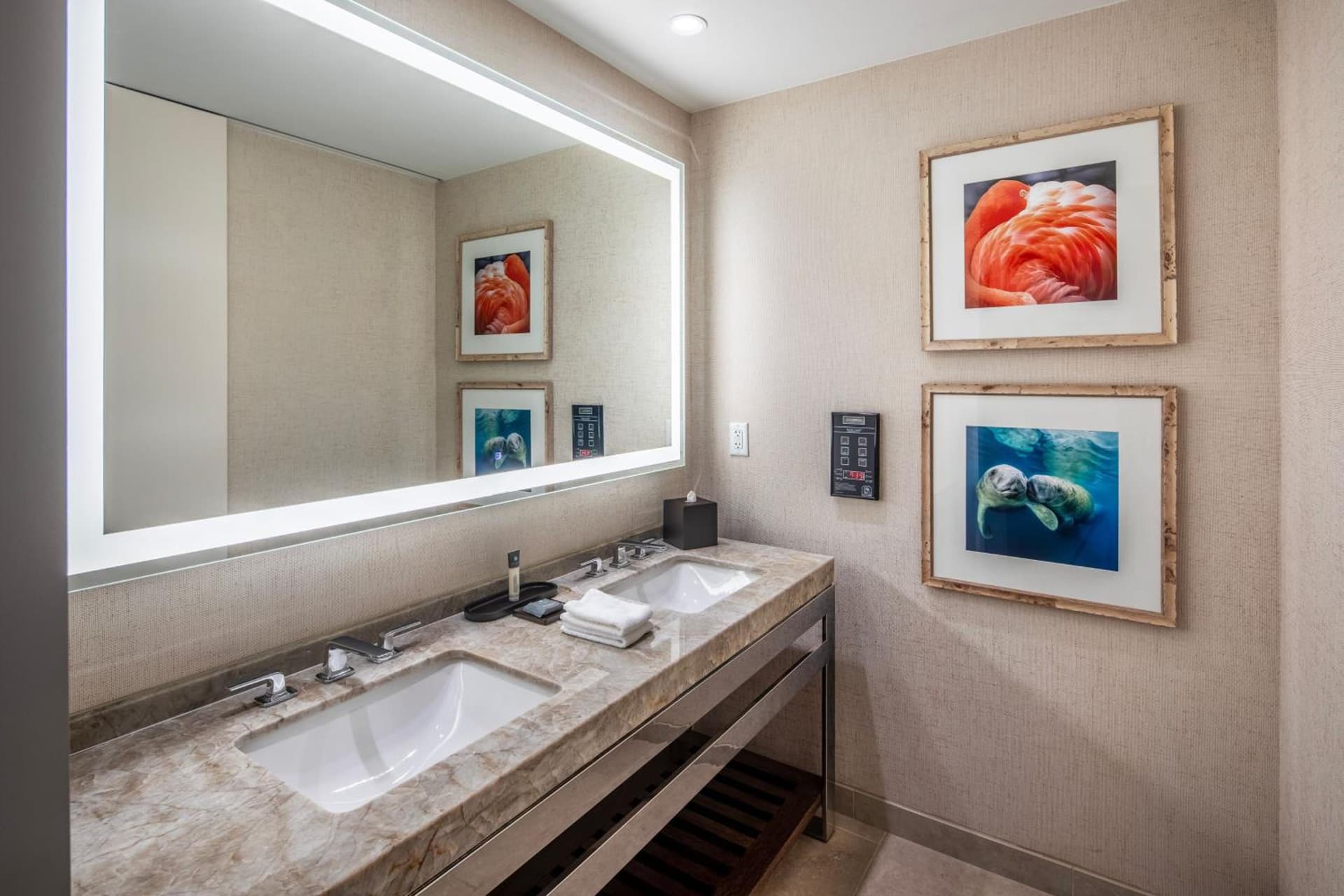 Gaylord Palms Resort & Convention Center gallery photo in Orlando, FL — image 80