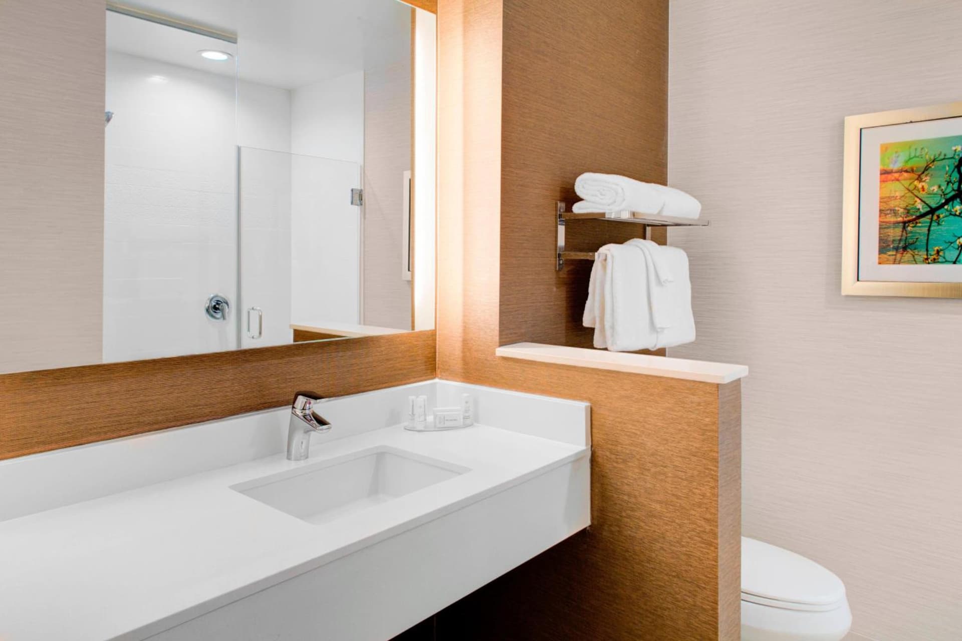 Fairfield Inn & Suites by Marriott Bakersfield North/Airport gallery photo in Bakersfield, CA — image 23