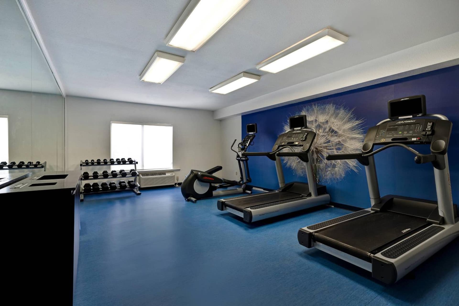 SpringHill Suites by Marriott Las Cruces gallery photo in Las Cruces, NM — image 4
