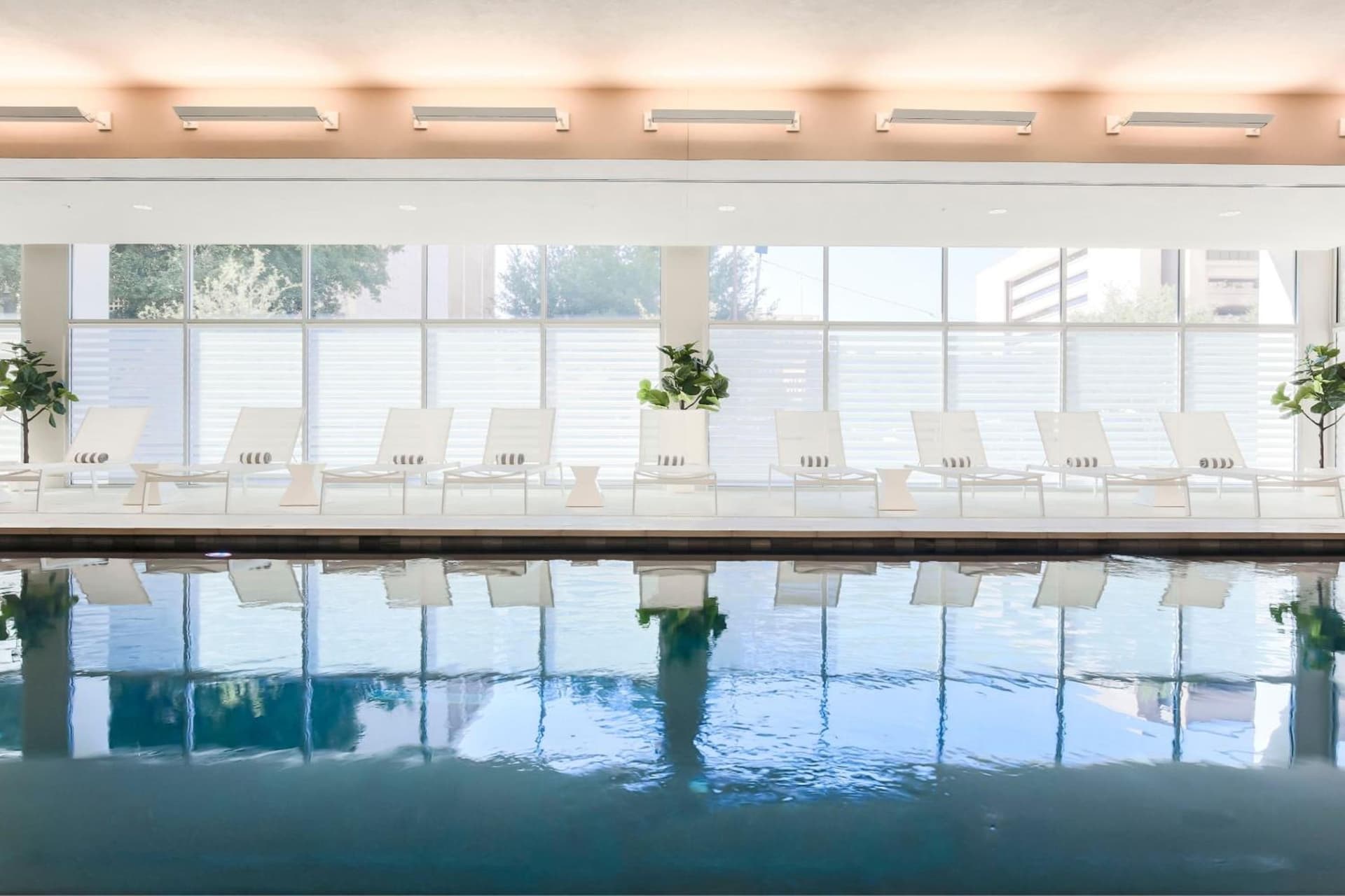 Residence Inn by Marriott Dallas Downtown gallery photo in Dallas, TX — image 7