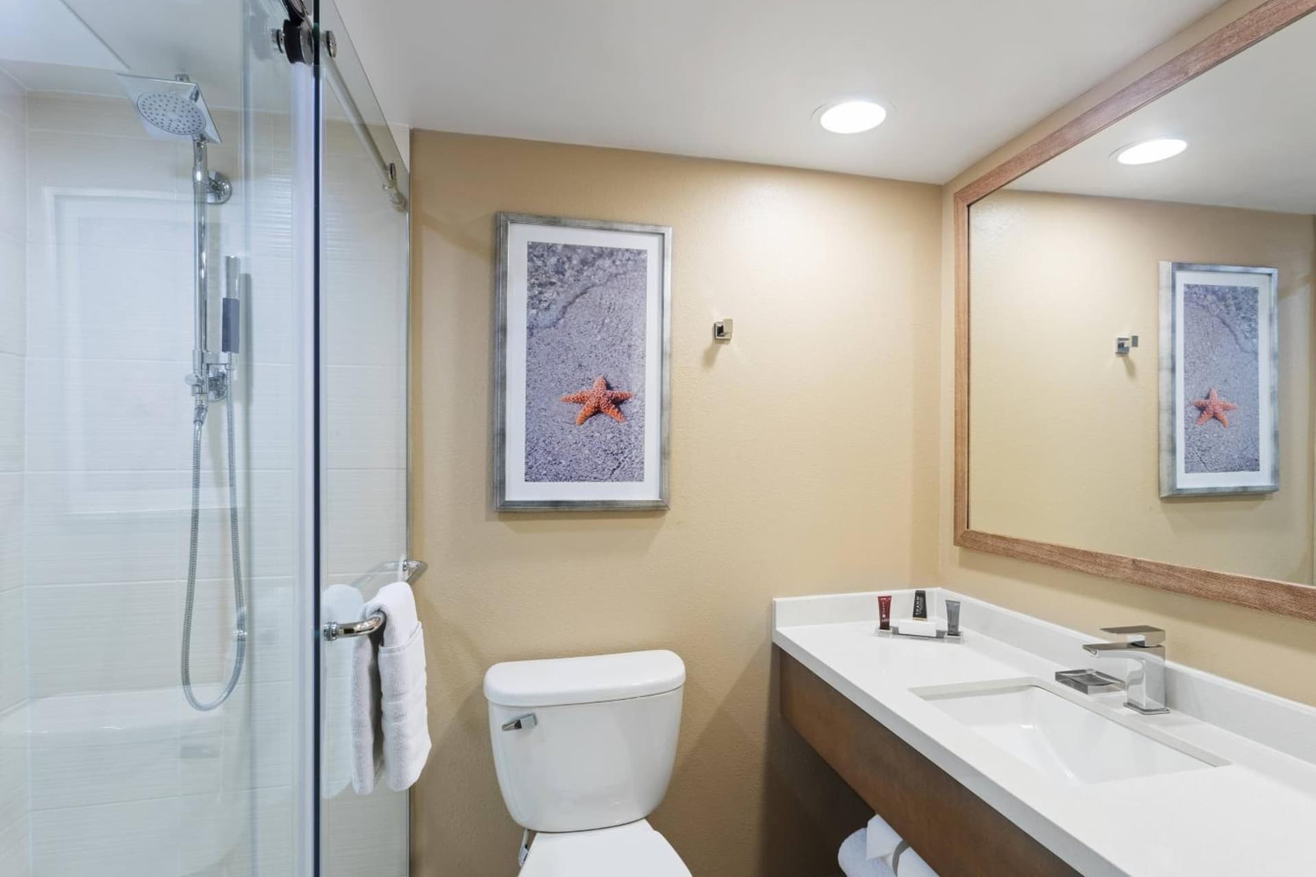 Clearwater Beach Marriott Resort on Sand Key gallery photo in Clearwater Beach, FL — image 42