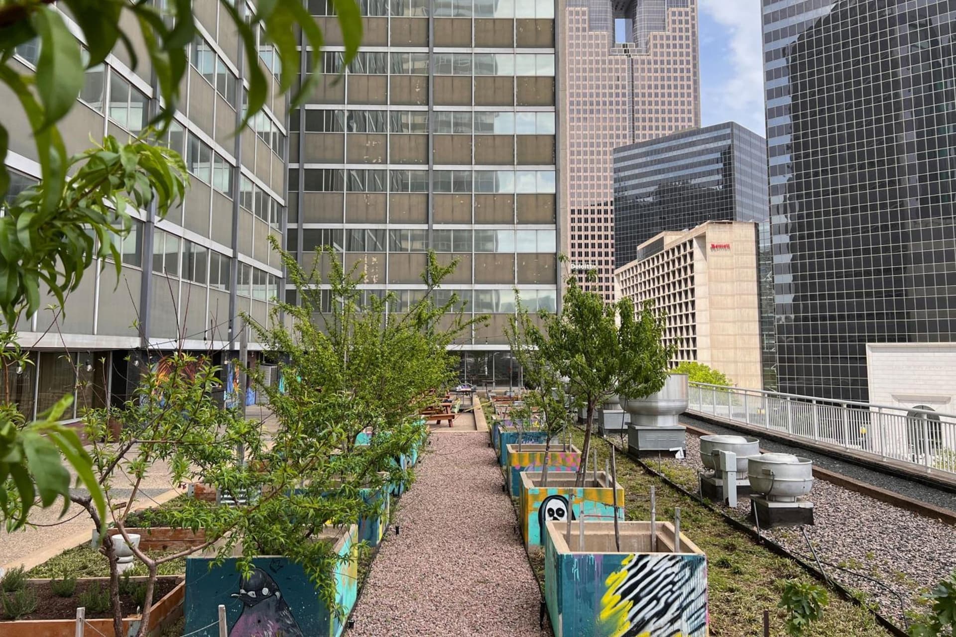 Sheraton Dallas Hotel gallery photo in Dallas, TX — image 27