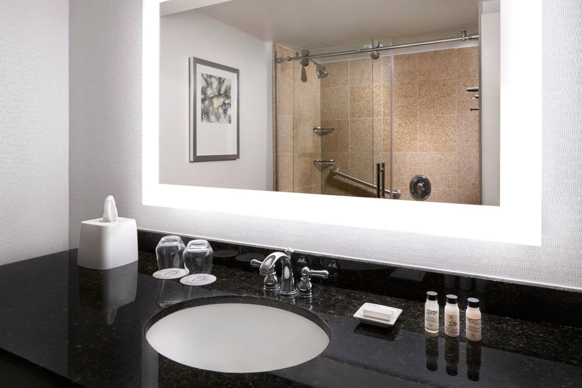 Delta Hotels by Marriott Chesapeake Norfolk gallery photo in Chesapeake, VA — image 6