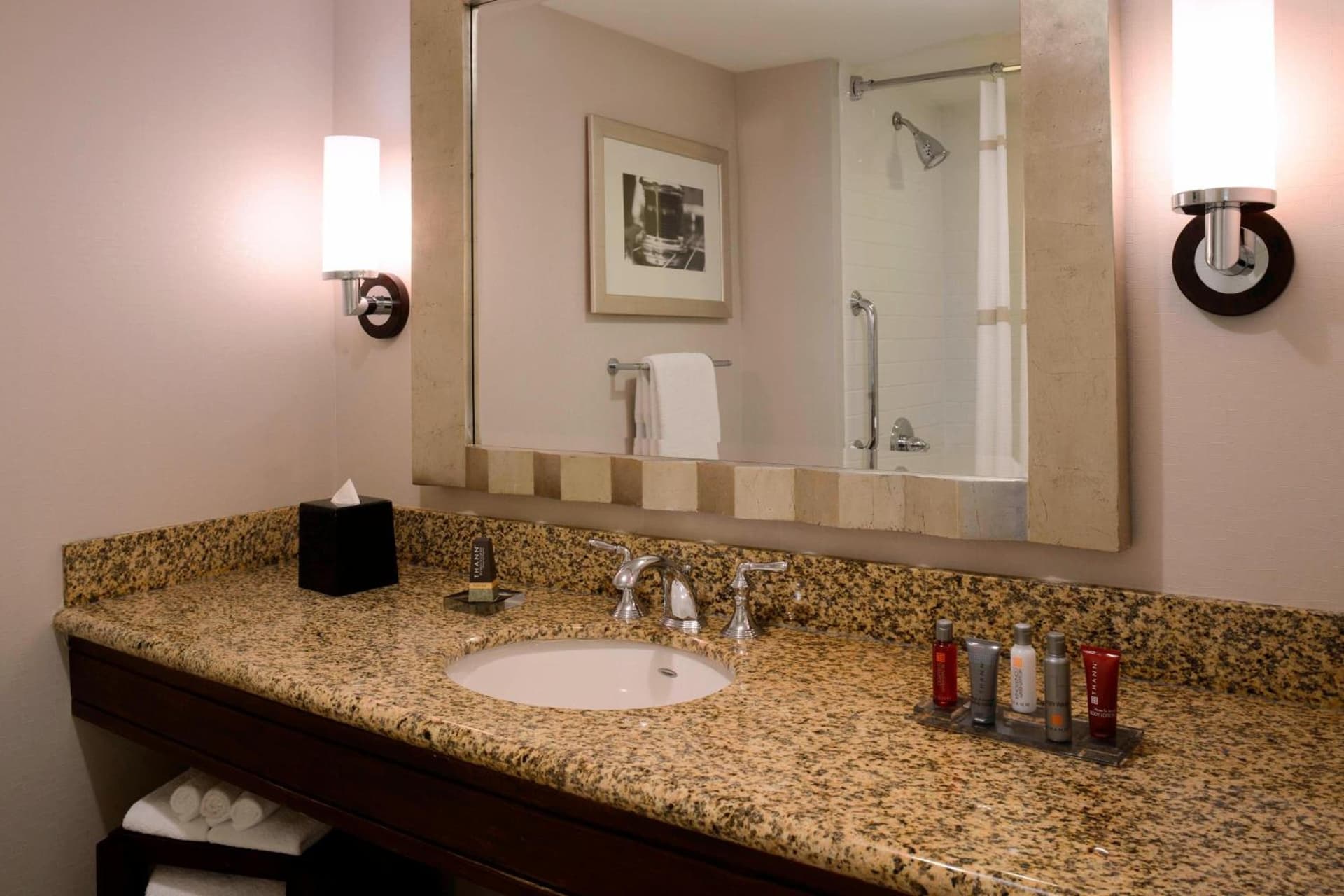 Newport News Marriott at City Center property views in Newport News, VA — gallery photo 3