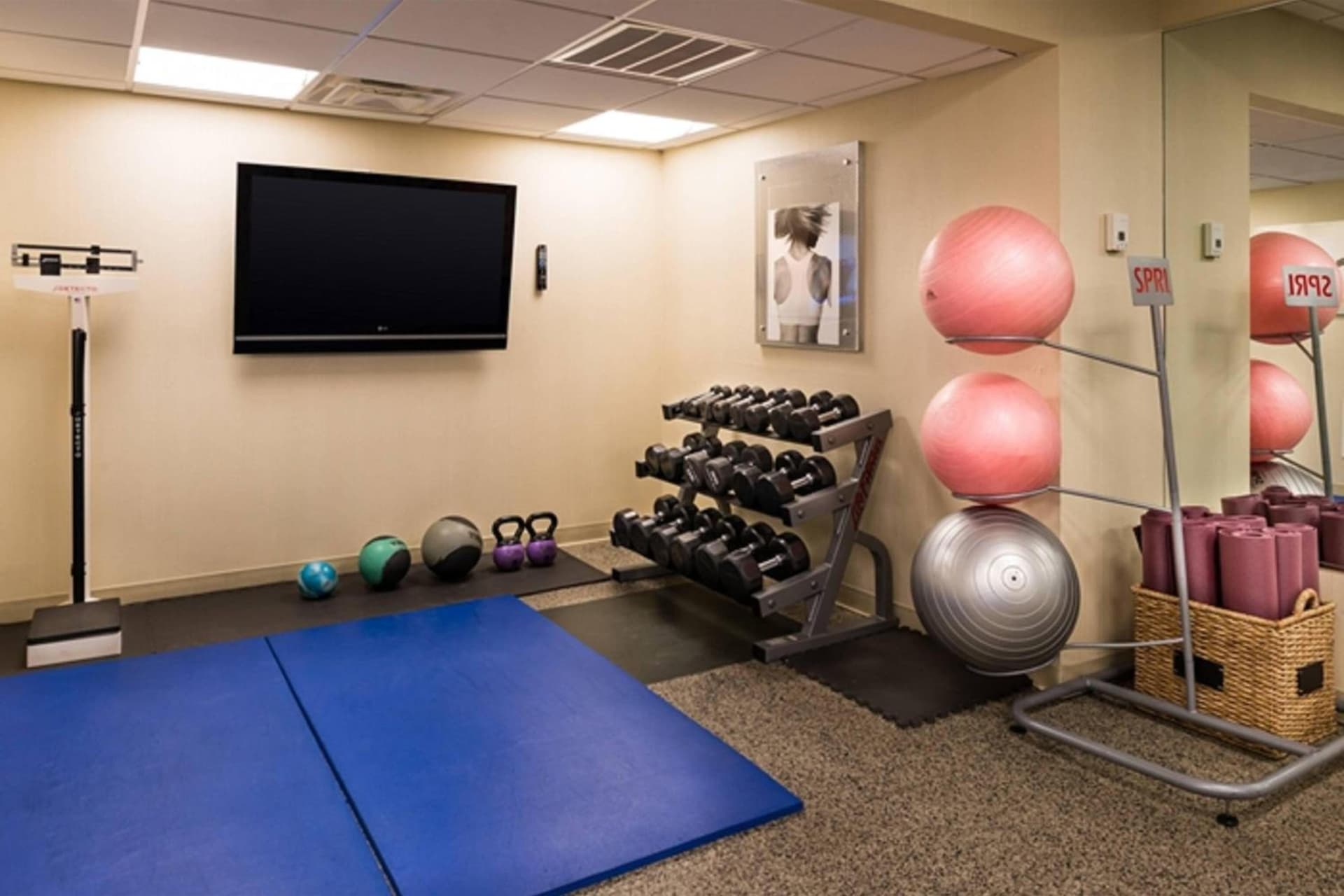 Marriott Melville Long Island gallery photo in Melville, NY — image 12