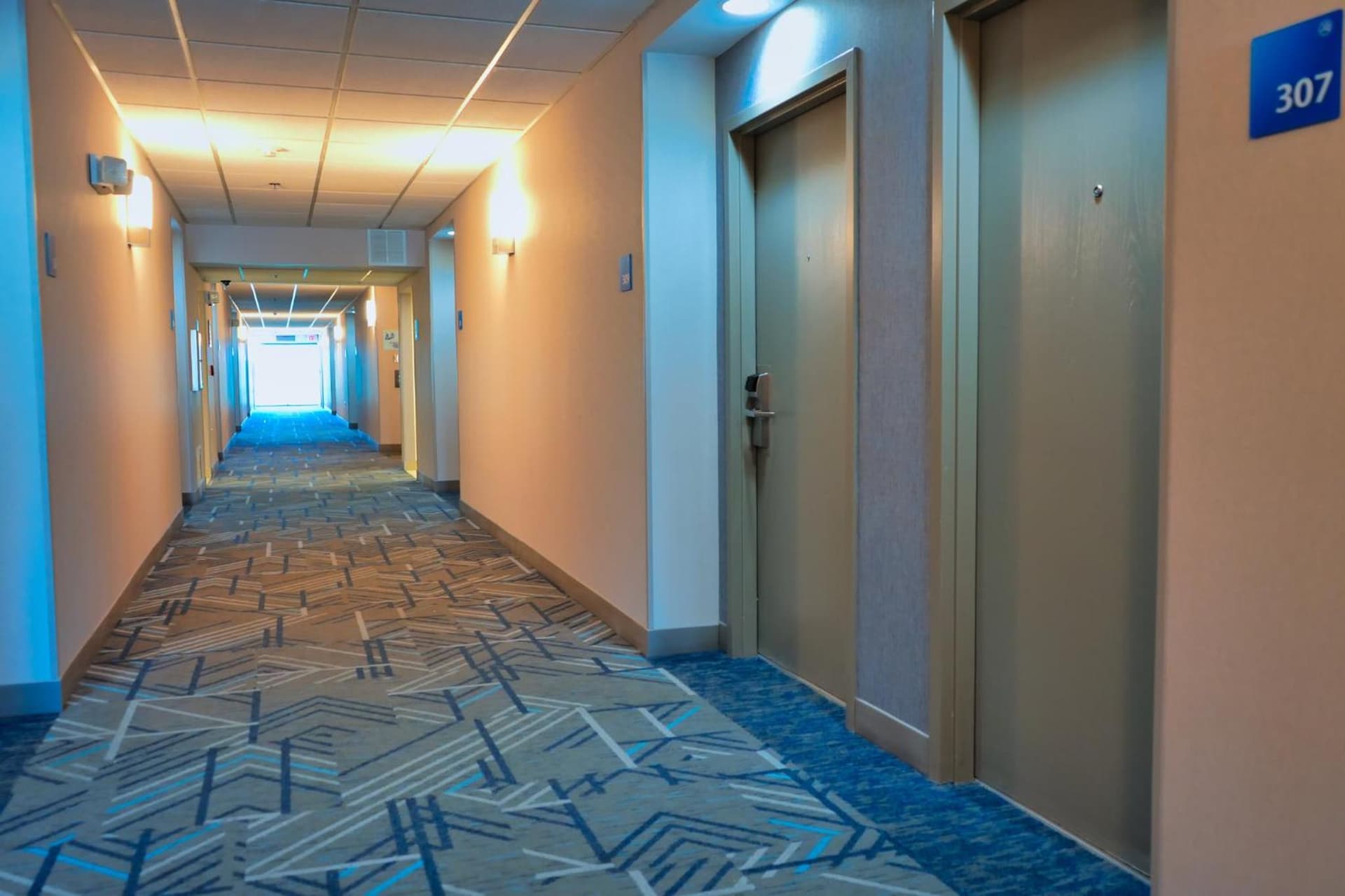 Holiday Inn Express Hotel & Suites Tampa-Oldsmar by IHG gallery photo in Oldsmar, FL — image 15