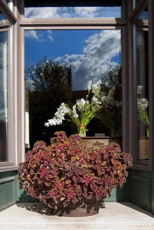 Water Street Inn gallery photo in Stillwater, MN — image 42