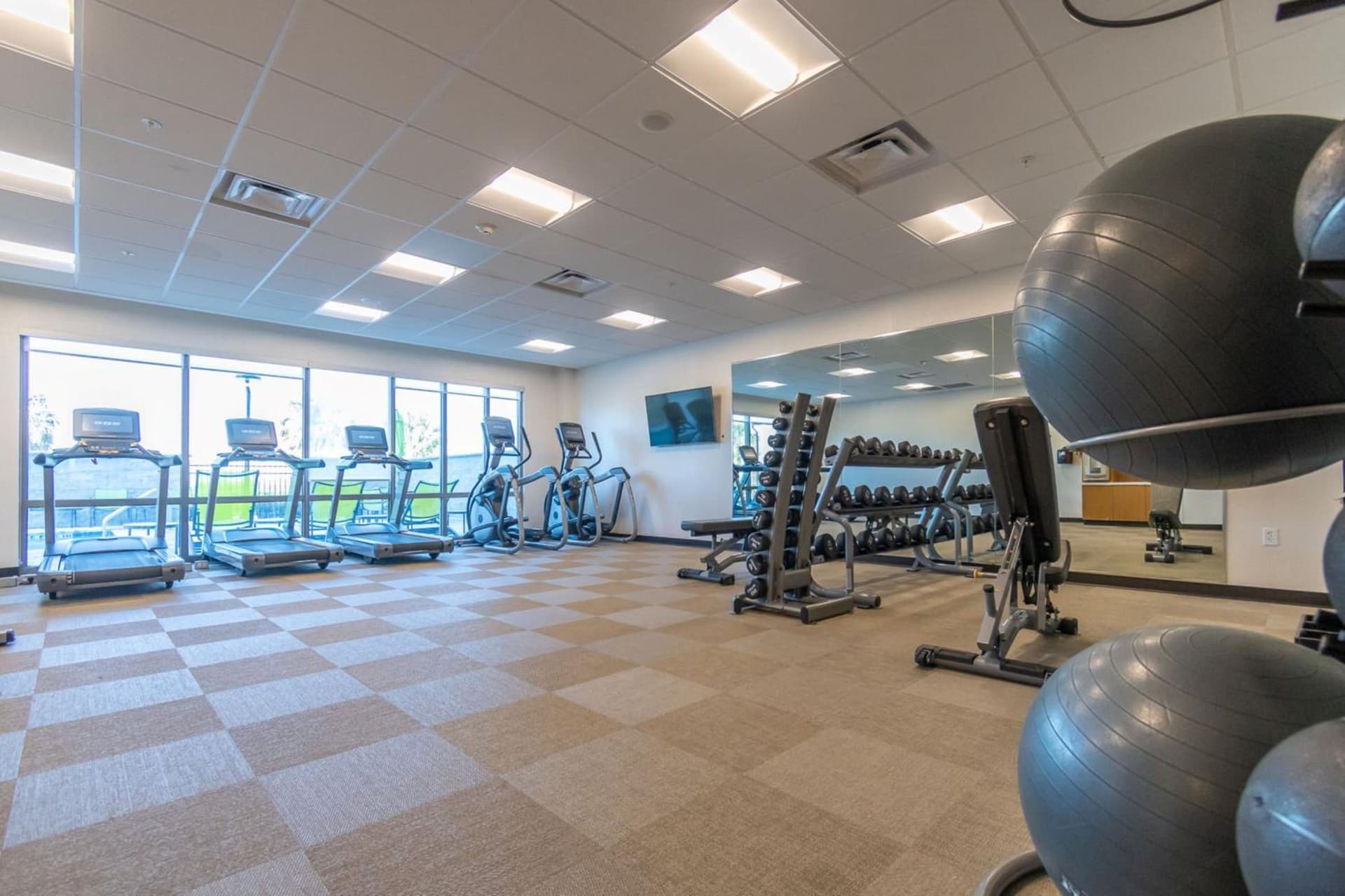 SpringHill Suites by Marriott Tampa Suncoast Parkway gallery photo in Land O' Lakes, FL — image 13