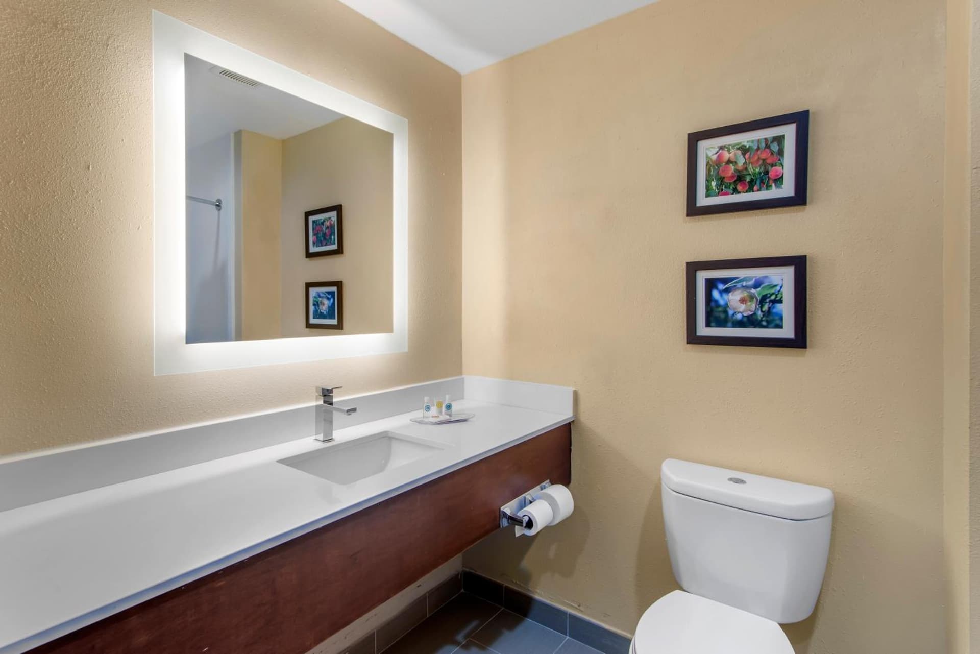 Comfort Suites Locust Grove Atlanta South interior in Locust Grove, GA — gallery photo 2