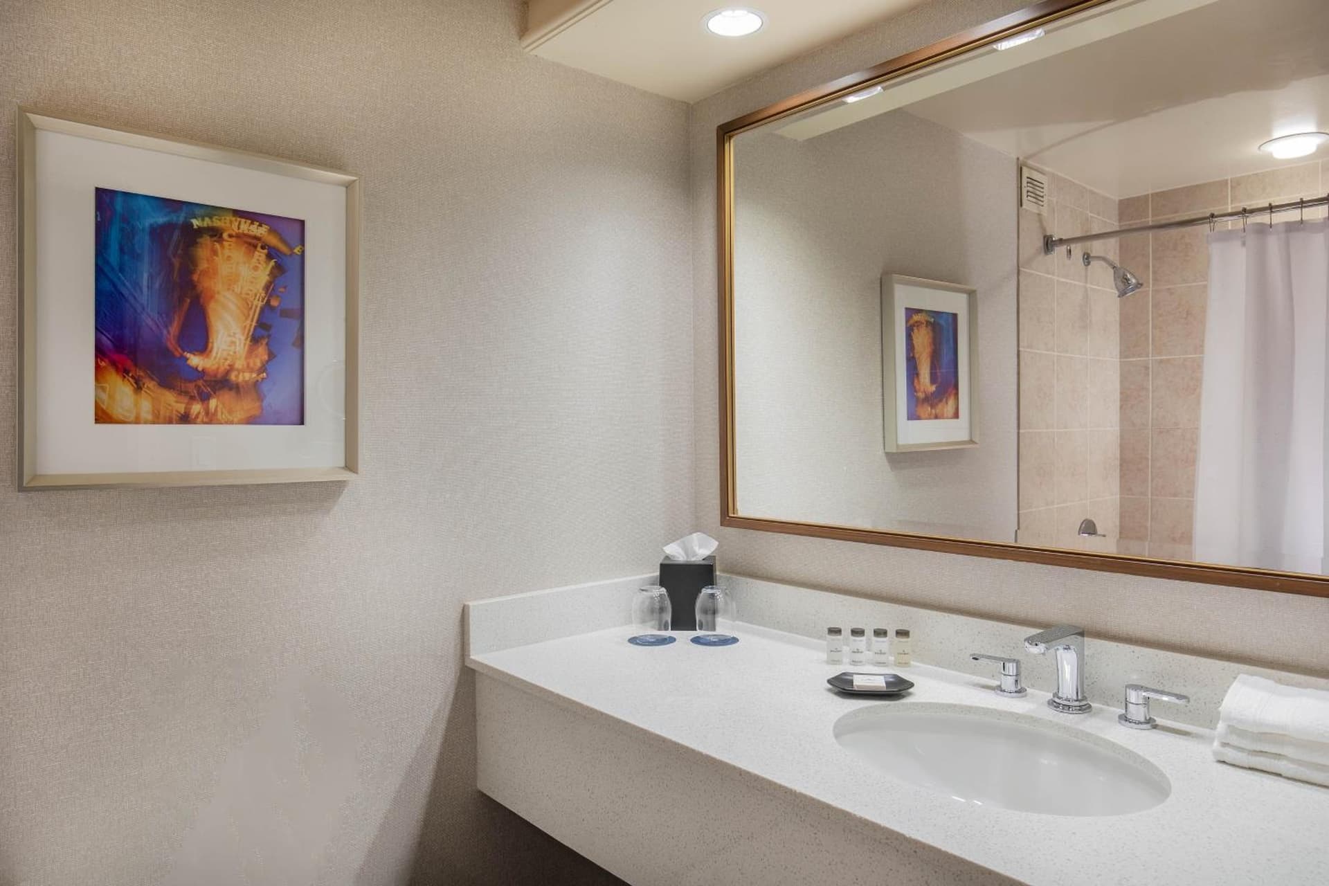 Sheraton Music City Nashville Airport gallery photo in Nashville, TN — image 20