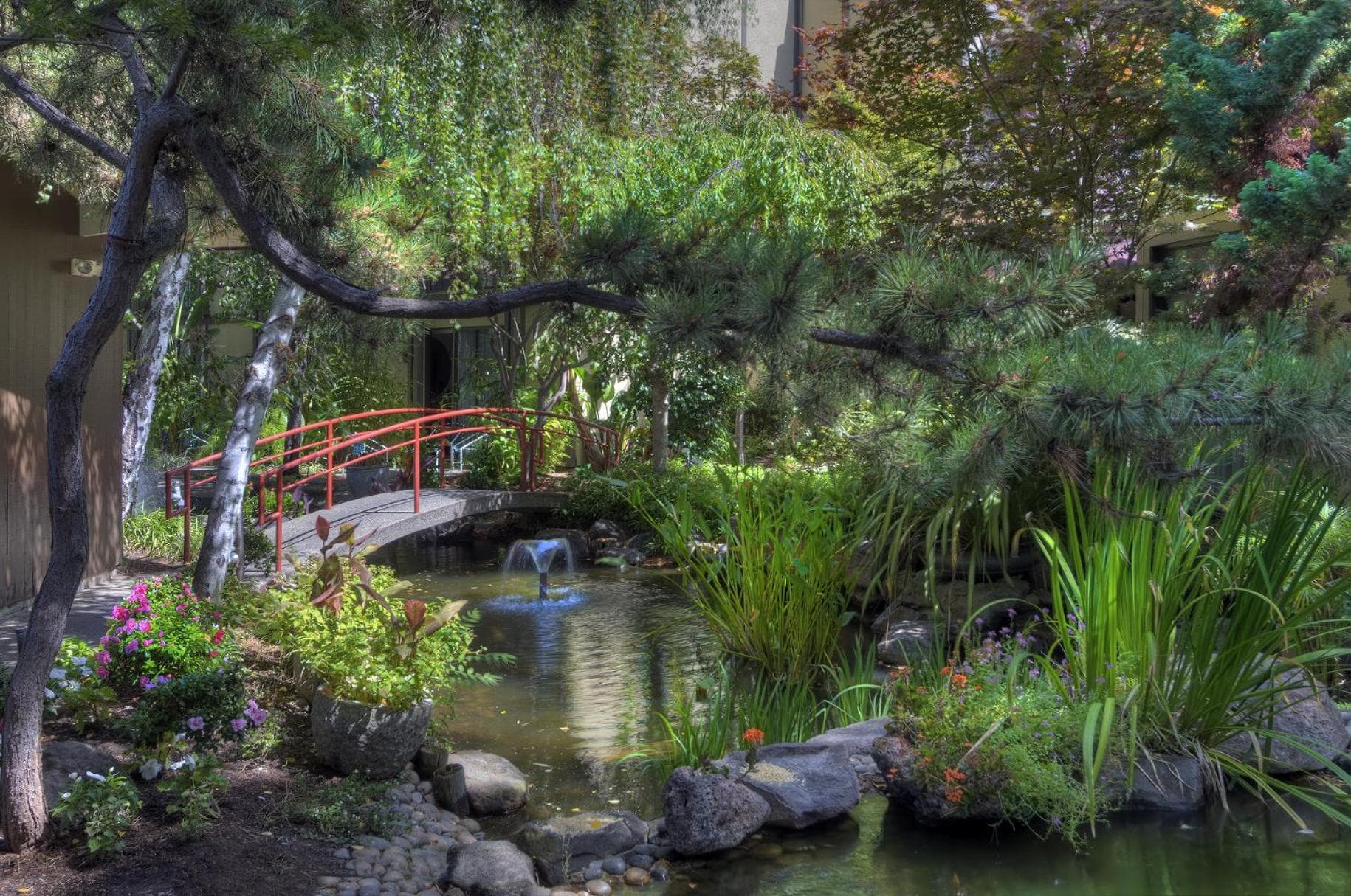 Dinah's Garden Hotel gallery photo in Palo Alto, CA — image 8