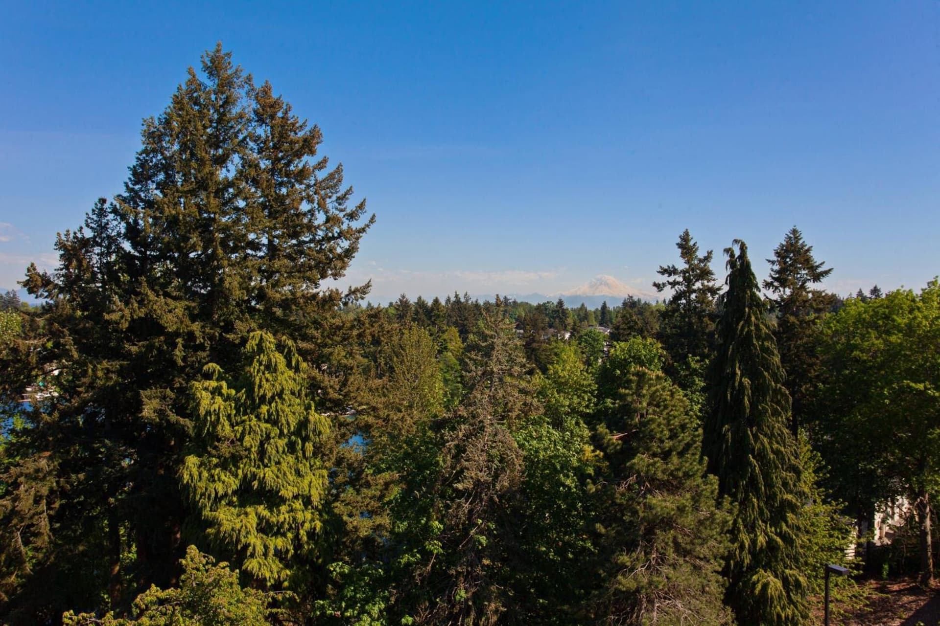 Residence Inn by Marriott Seattle Sea-Tac Airport gallery photo in SeaTac, WA — image 12