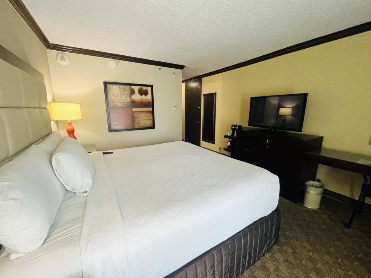 Wingate Houston near NRG Park/Medical Center gallery photo in Houston, TX — image 26