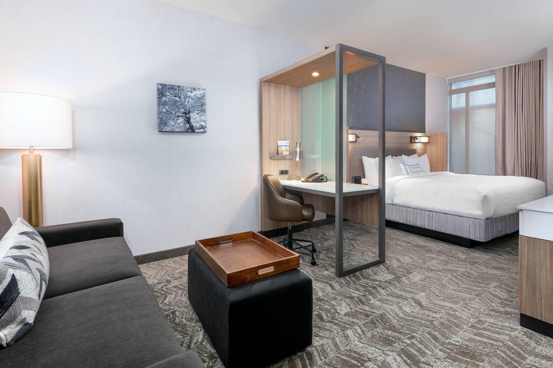 SpringHill Suites by Marriott Indianapolis Westfield gallery photo in Westfield, IN — image 5