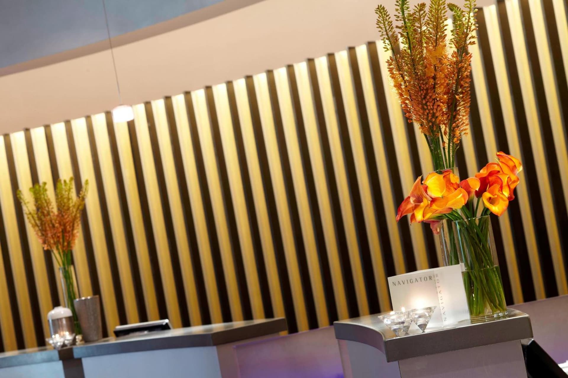 Renaissance St. Louis Airport Hotel gallery photo in Saint Louis, MO — image 27