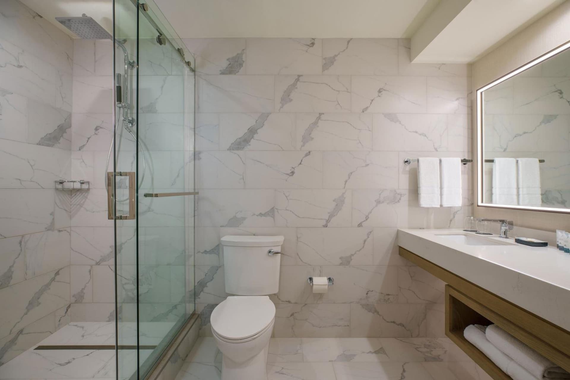 The Westin O'Hare gallery photo in Rosemont, IL — image 72