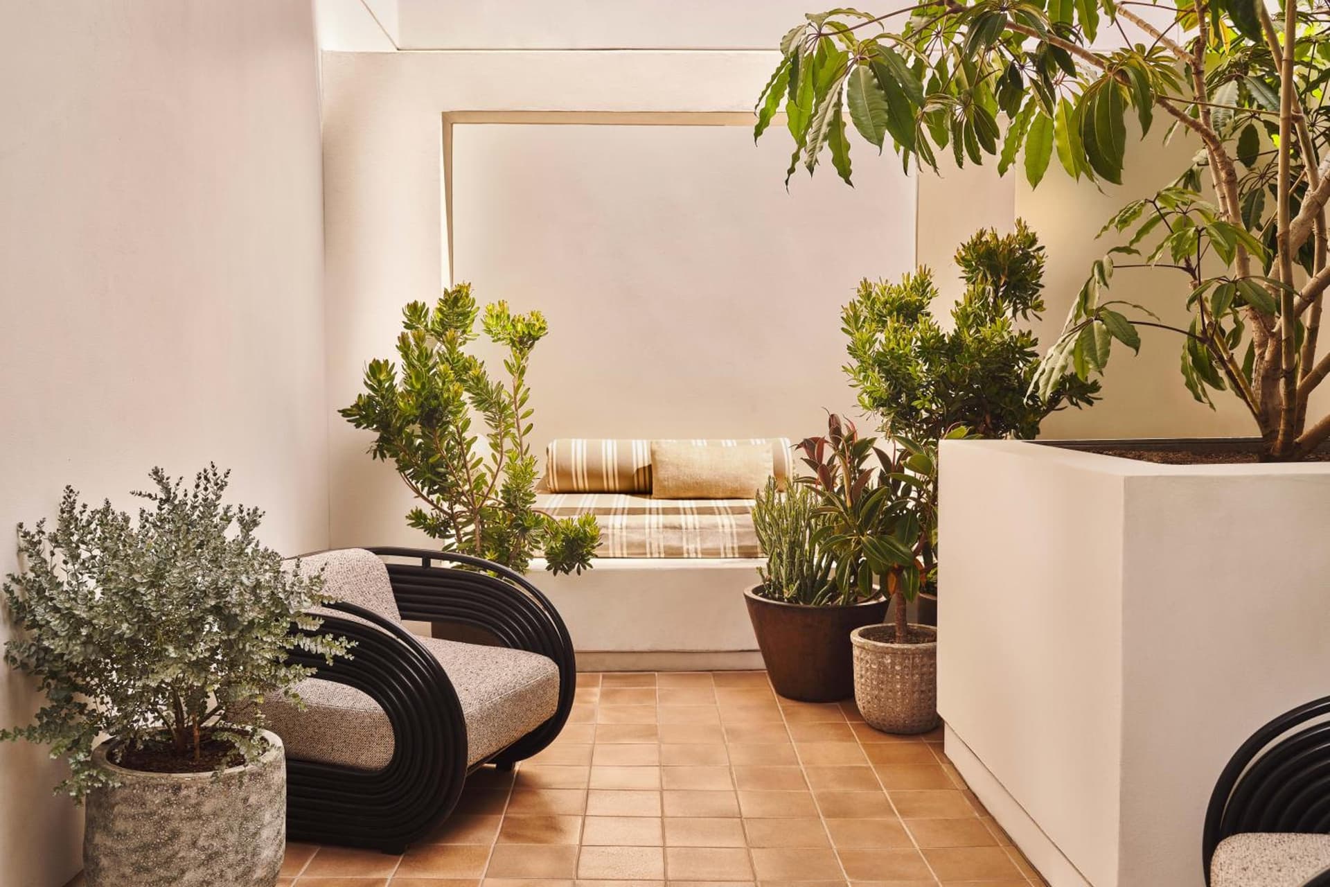 Santa Monica Proper Hotel, a Member of Design Hotels gallery photo in Los Angeles, CA — image 22