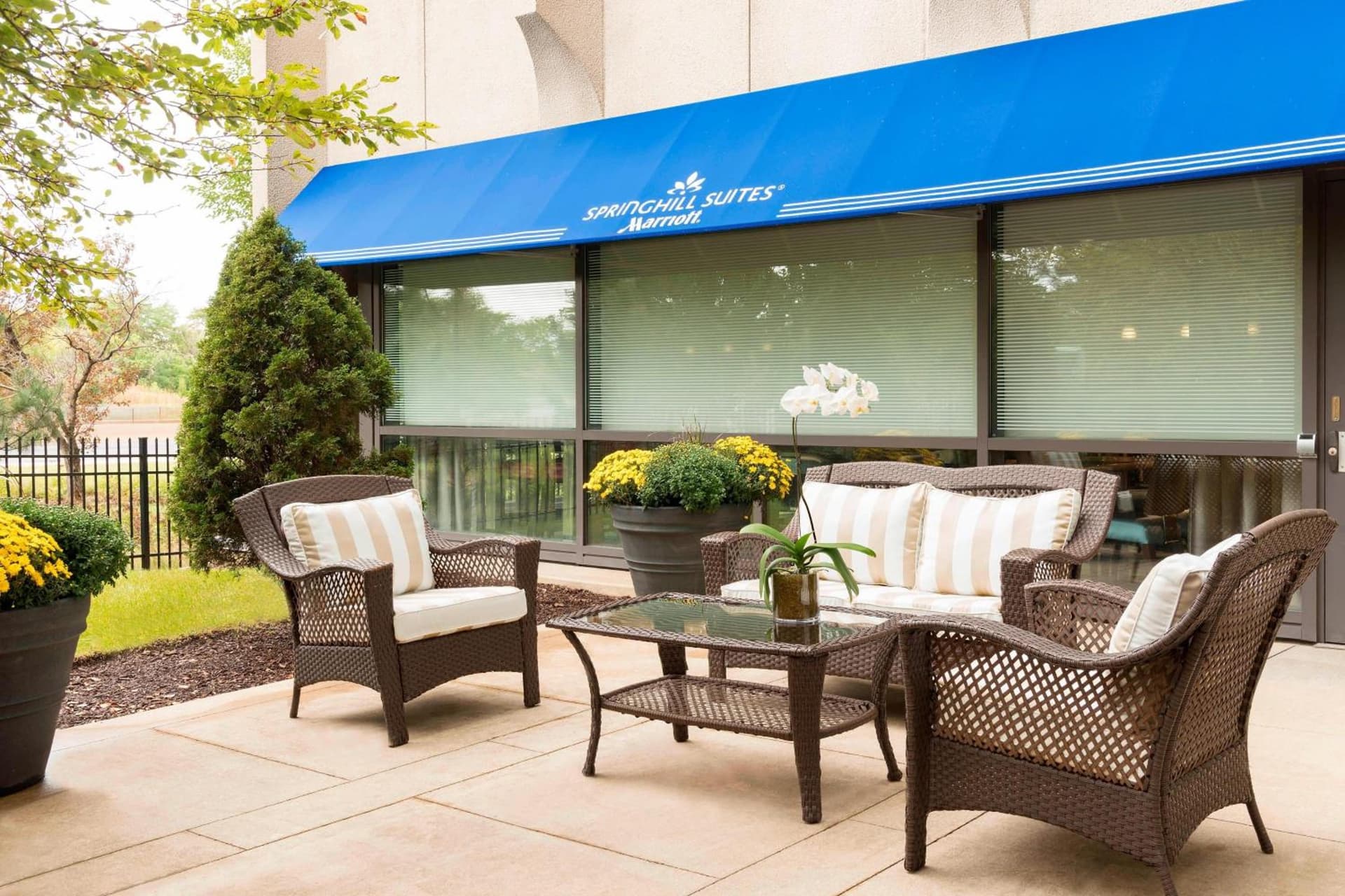 SpringHill Suites by Marriott Chicago O'Hare gallery photo in Rosemont, IL — image 17