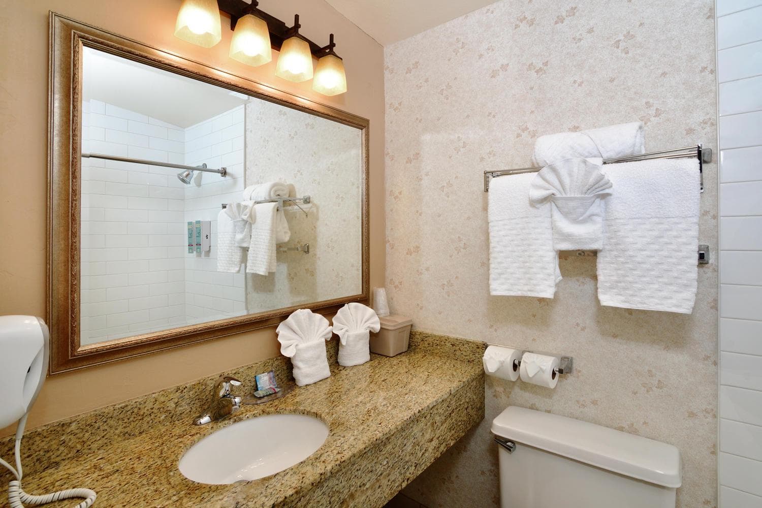 Lamplighter Inn & Suites at SDSU gallery photo in San Diego, CA — image 13