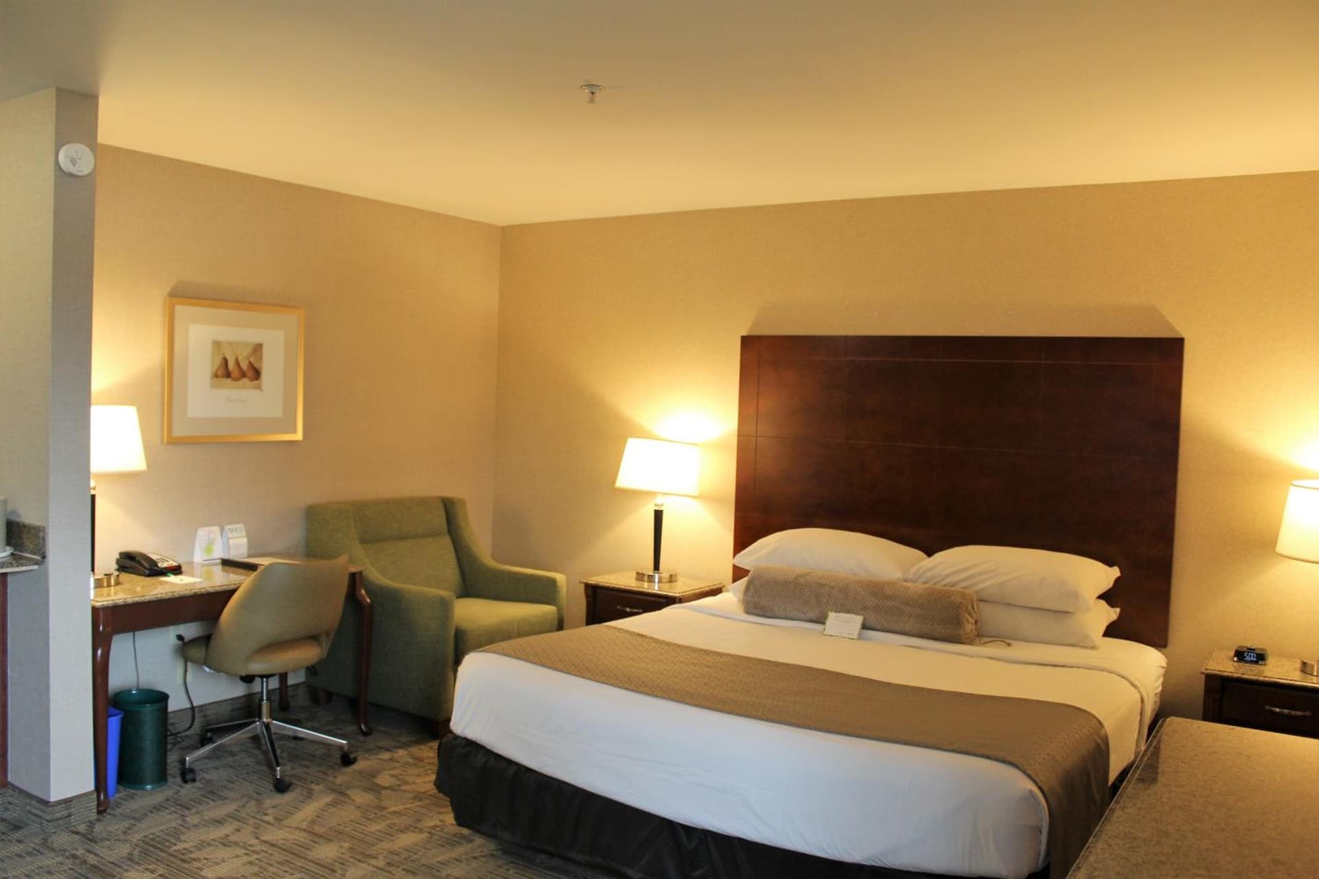 Medallion Inn and Suites gallery photo in Arlington, WA — image 25