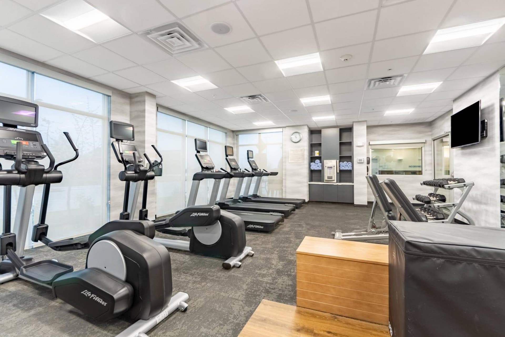 Fairfield Inn & Suites by Marriott Dallas DFW Airport North Coppell Grapevine gallery photo in Coppell, TX — image 10